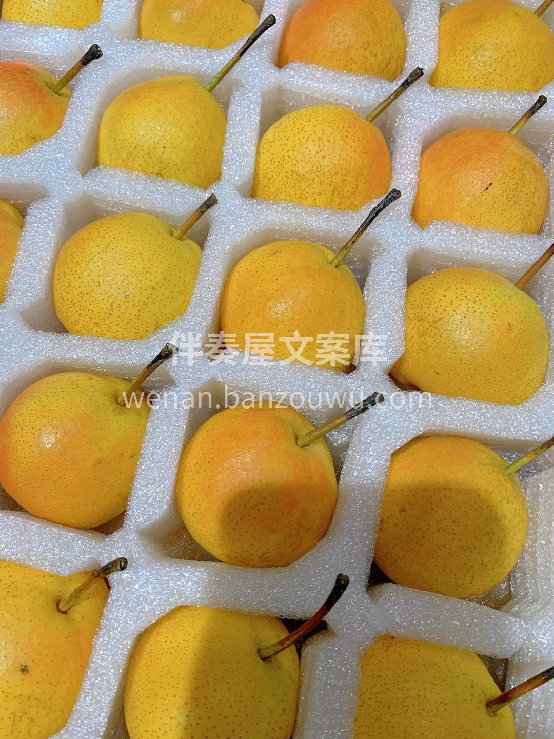 💁除了好吃到不行之外，南果梨还是所有梨中 配图1