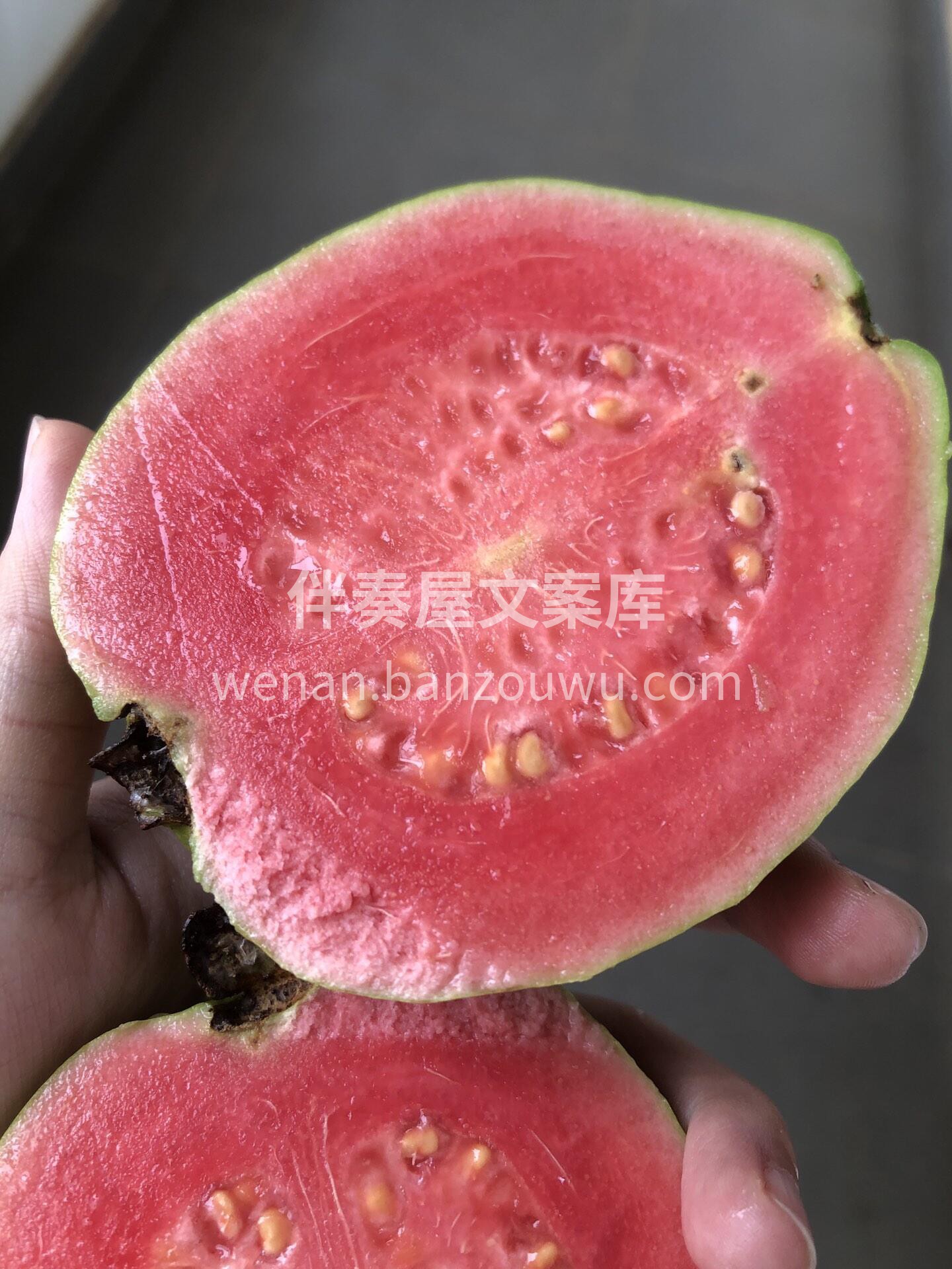 ❤️红心芭乐到货啦～ 减肥的小可爱们看过 配图1