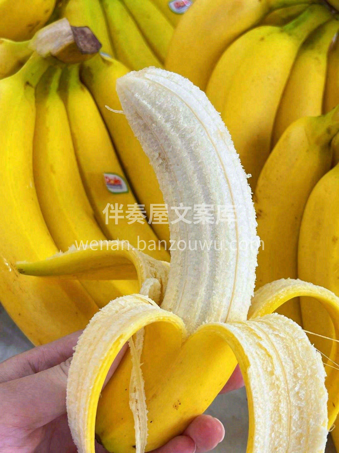 🌈甜‬蜜‬好‬心‬情‬幸‬福‬甜‬蜜‬“ 配图3