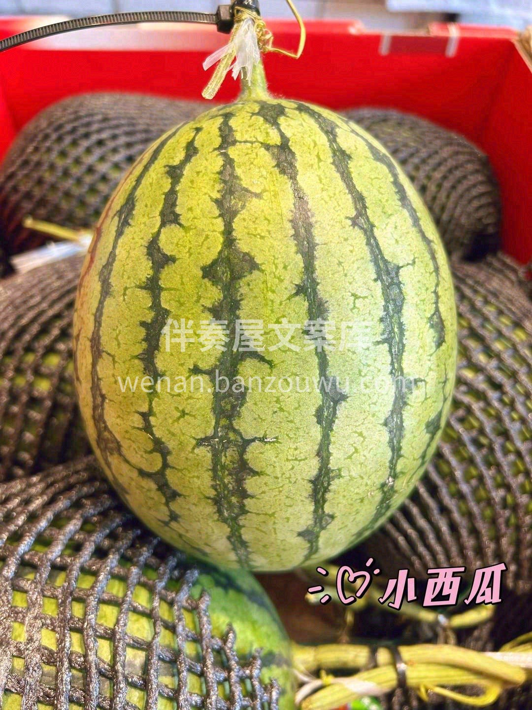 ❣夏天无瓜不欢，吃西瓜是标配😎 我们保证 配图3