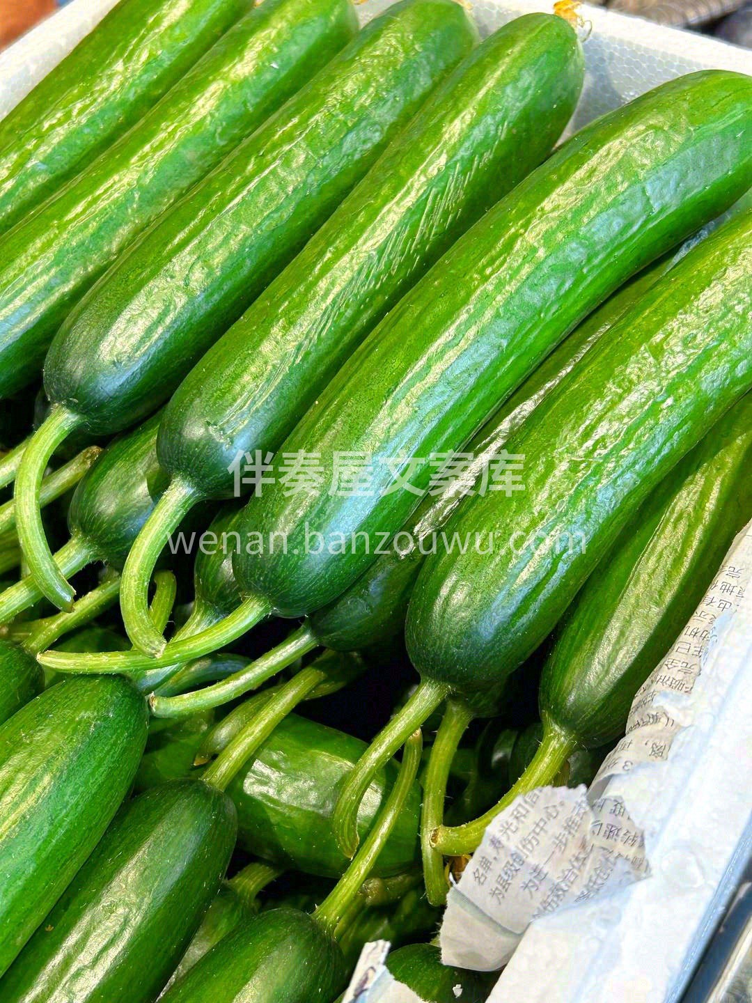 🥒表皮光滑小刺少，体型饱满肉更多， 从中 配图1