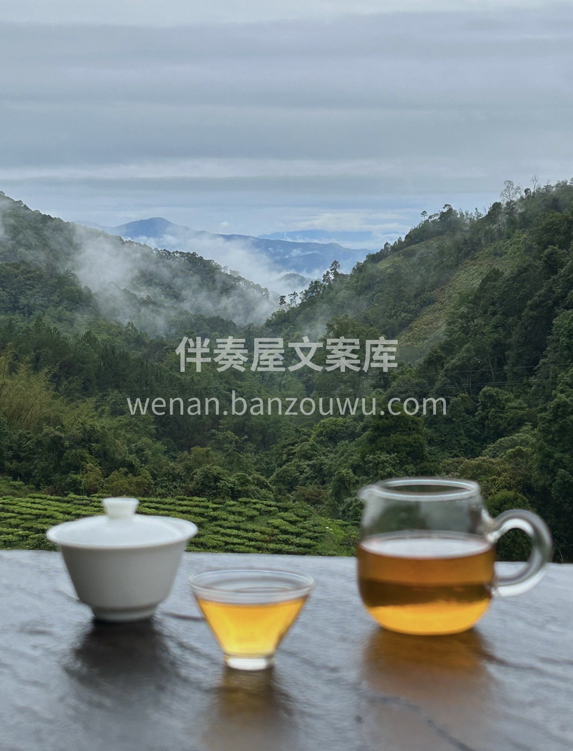 茶文化｜半山一盏茶，静心观万物 🌟茶，是 配图2