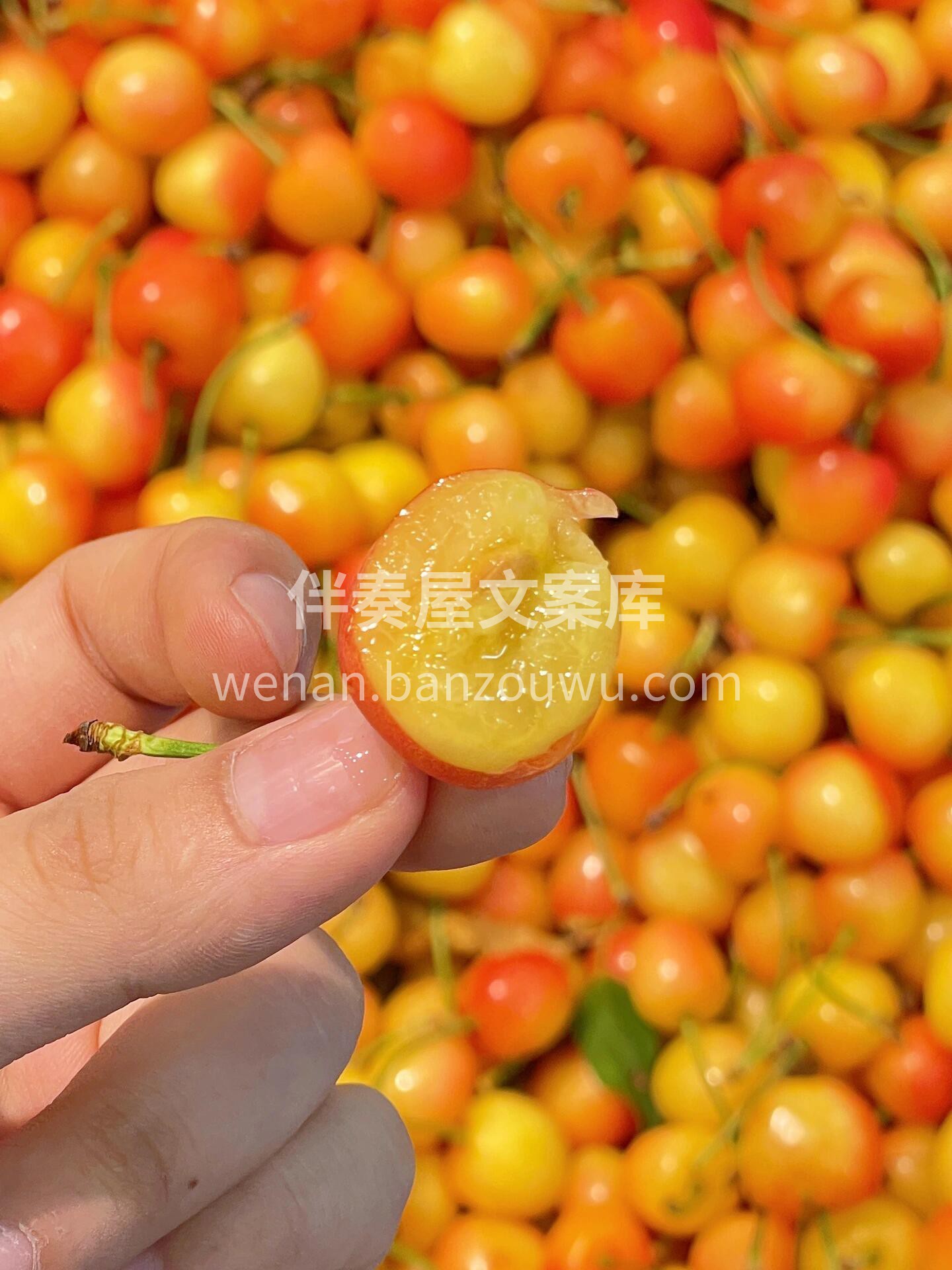 炎炎夏日🔅🔅，洗上一盘水晶樱桃🍒🍒 一口 配图1
