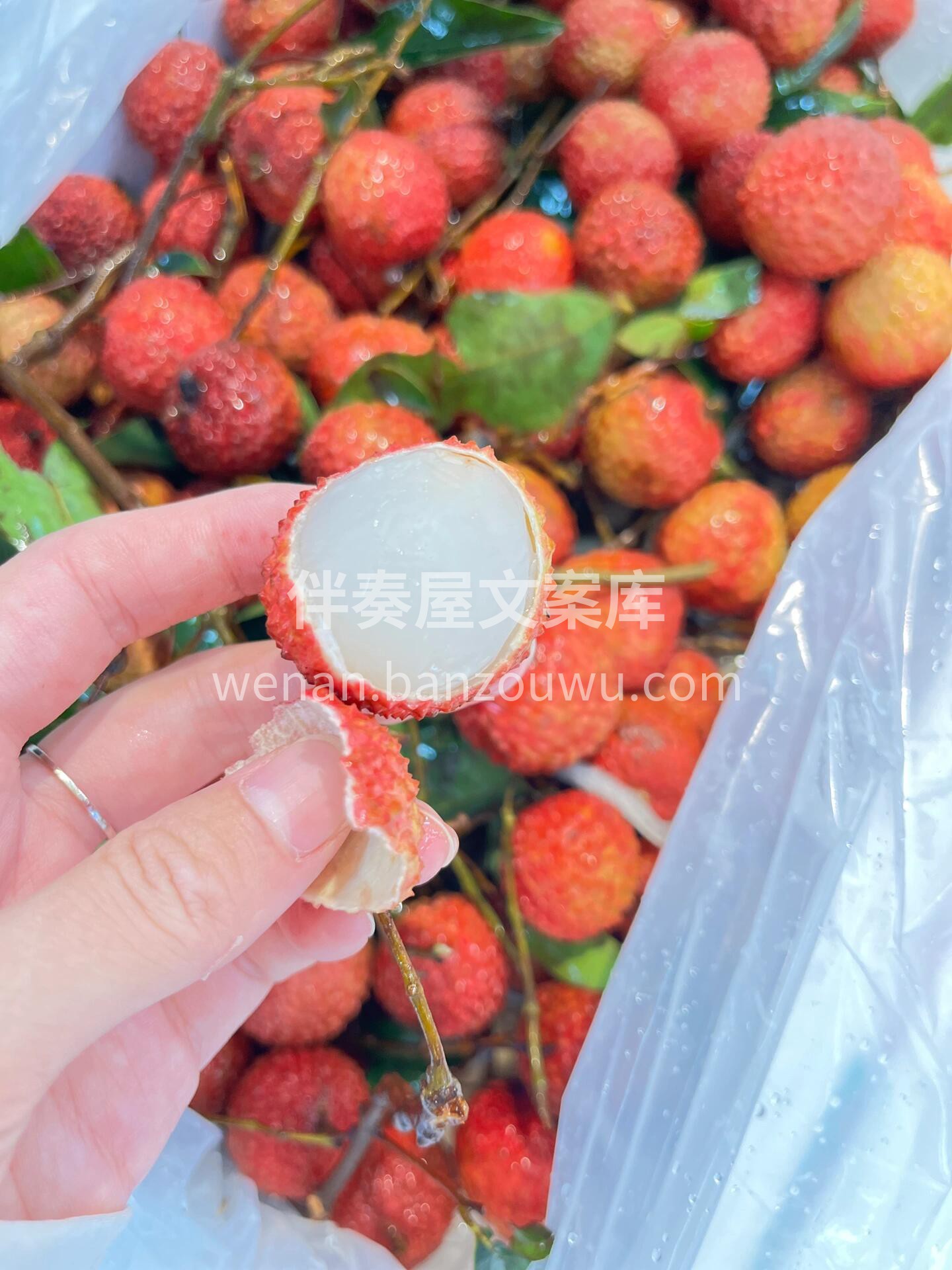 桂味荔枝到啦👏 绝绝子的夏日美味‼️嘬一 配图2