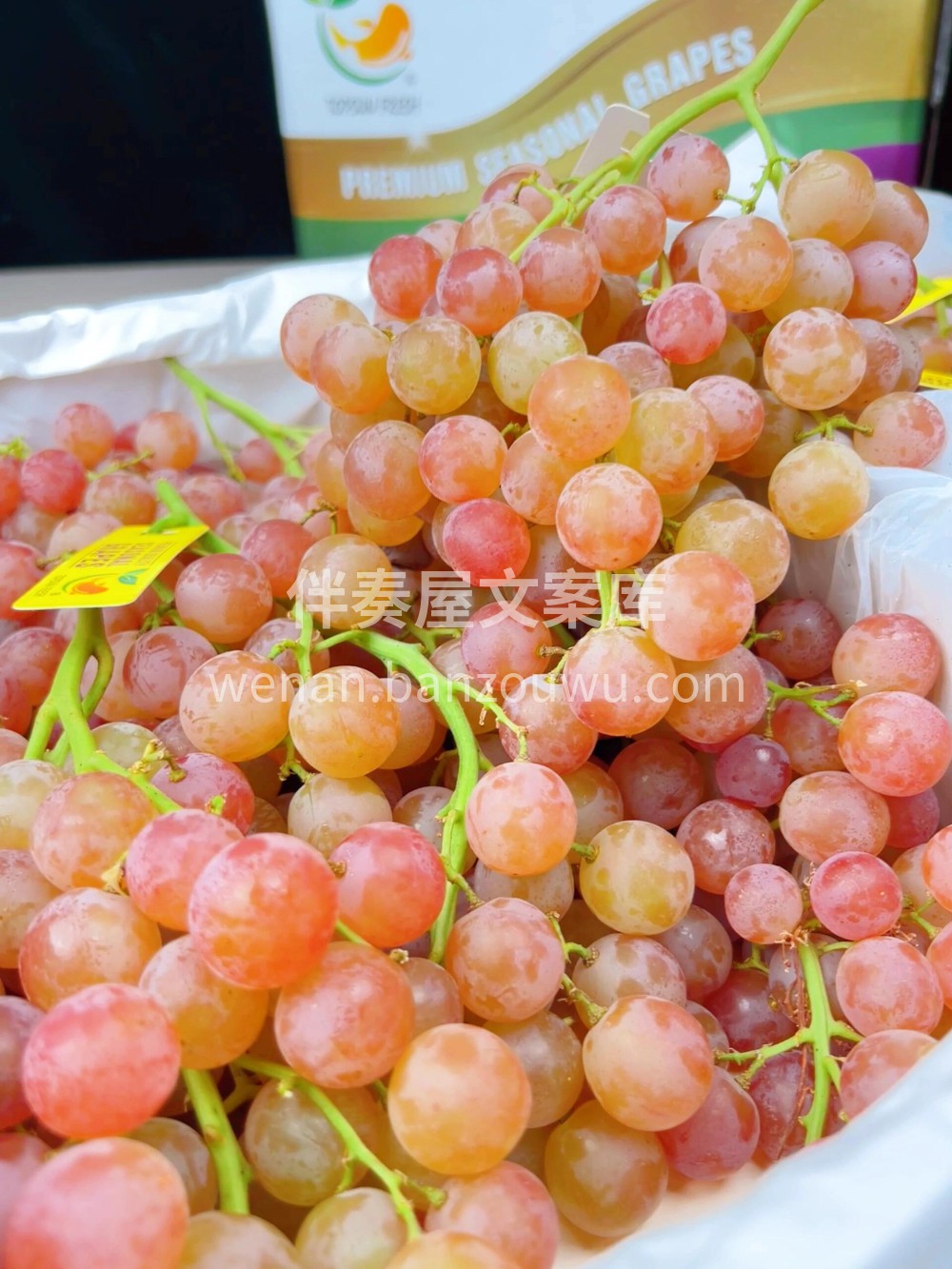 LYCHEE GRAPES荔枝香🍇来自智 配图2
