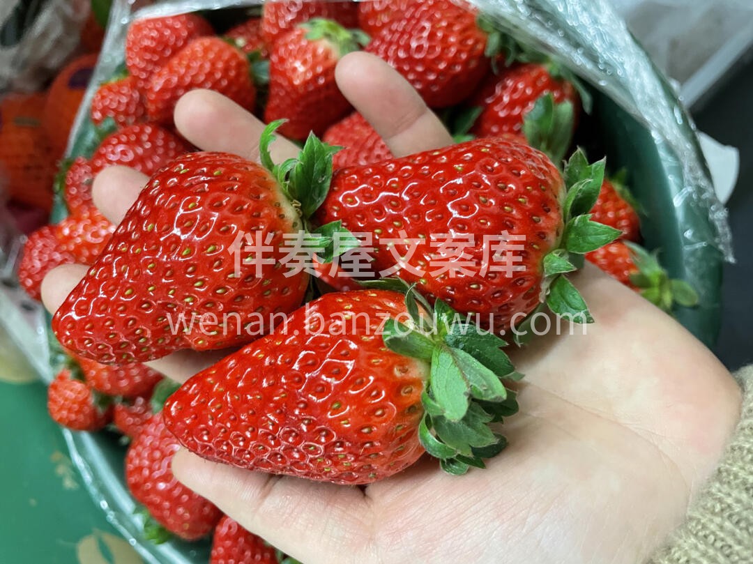 “少女心的收割机”🌹🌹，每一颗都能给你心 配图3