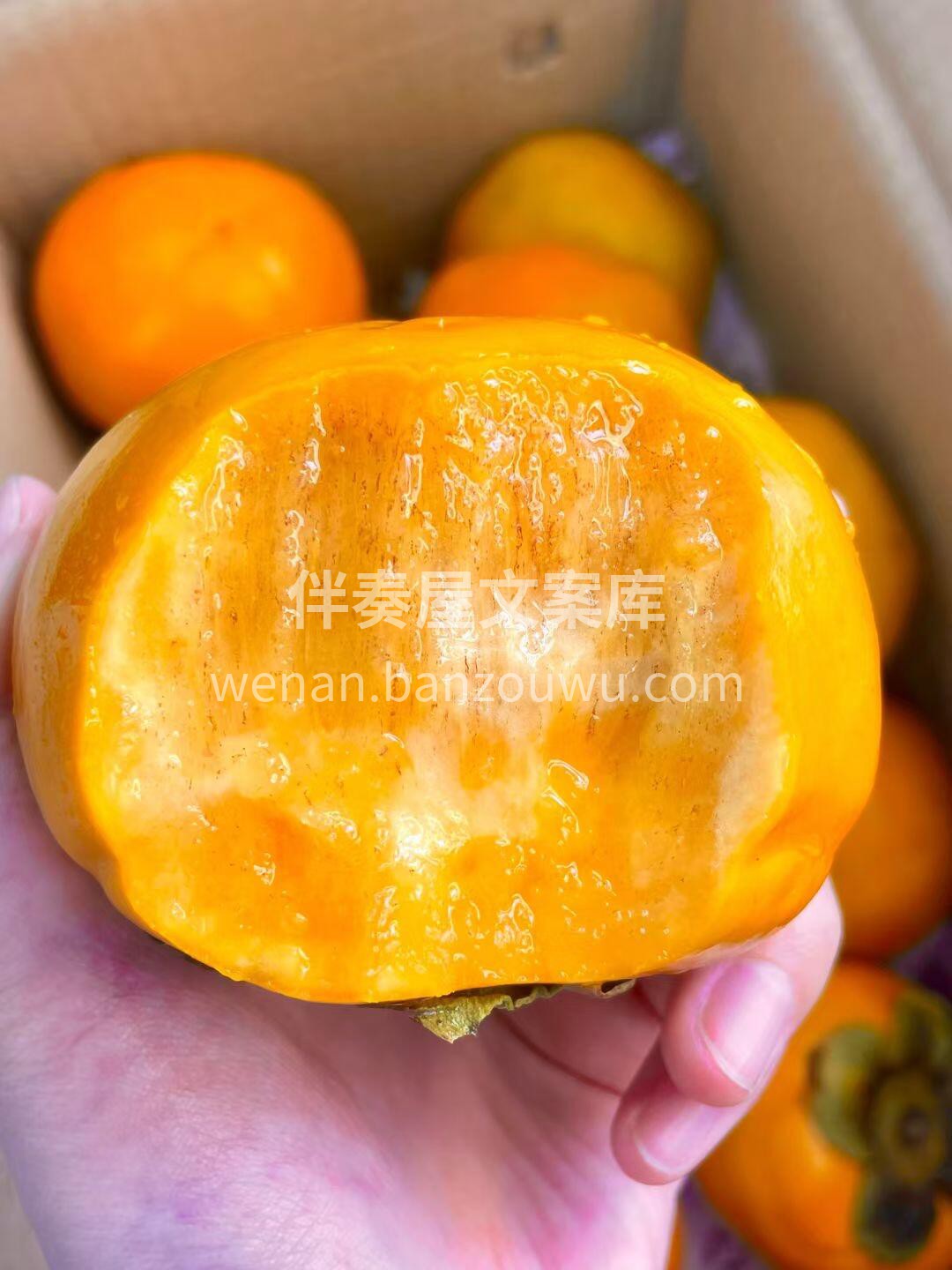 巧克力甜脆柿新鲜到店♥ ✅比苹果还脆，比 配图1