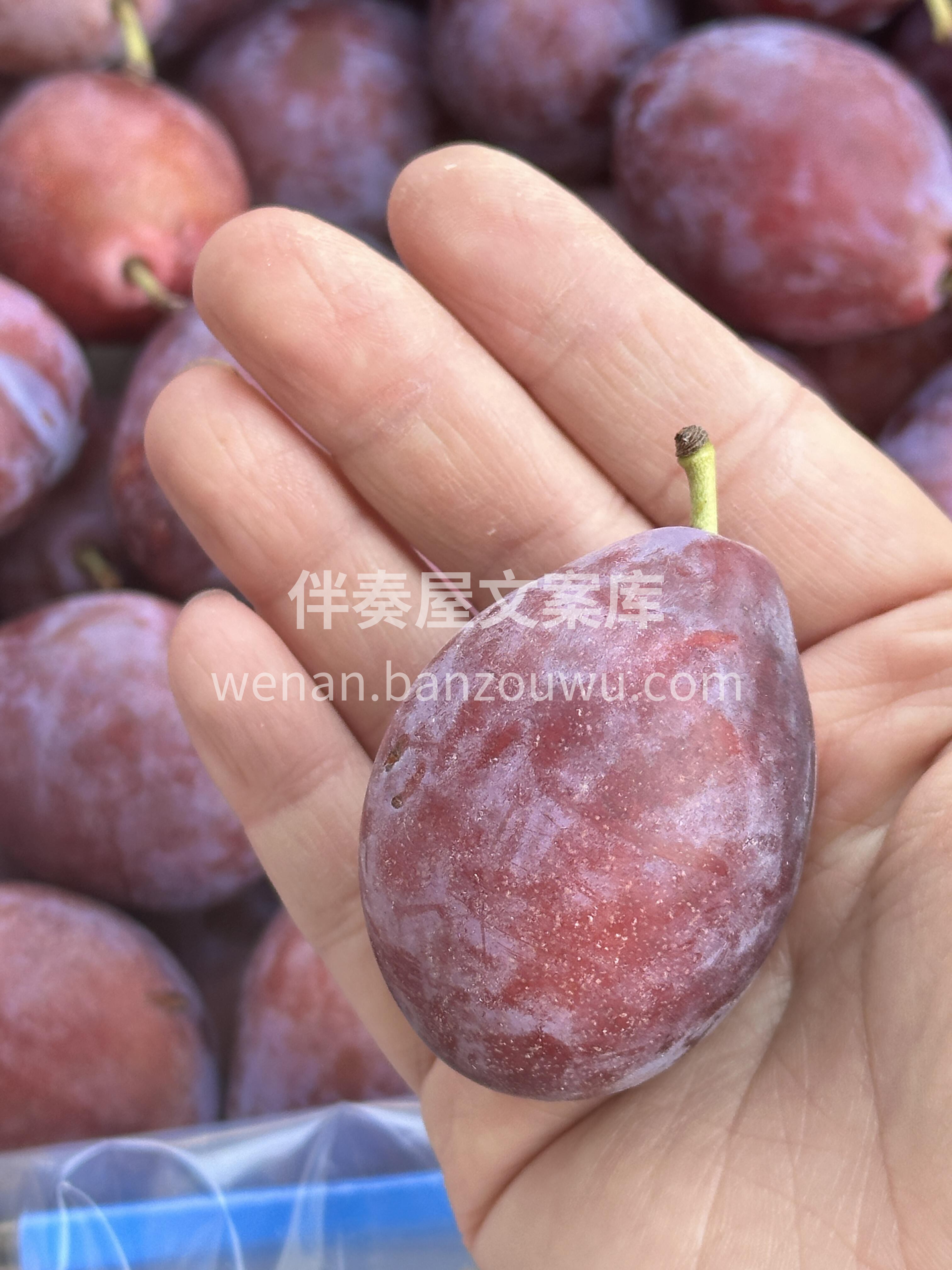 🙈为什么要多吃西梅？ 内养自己，外养眼别 配图1