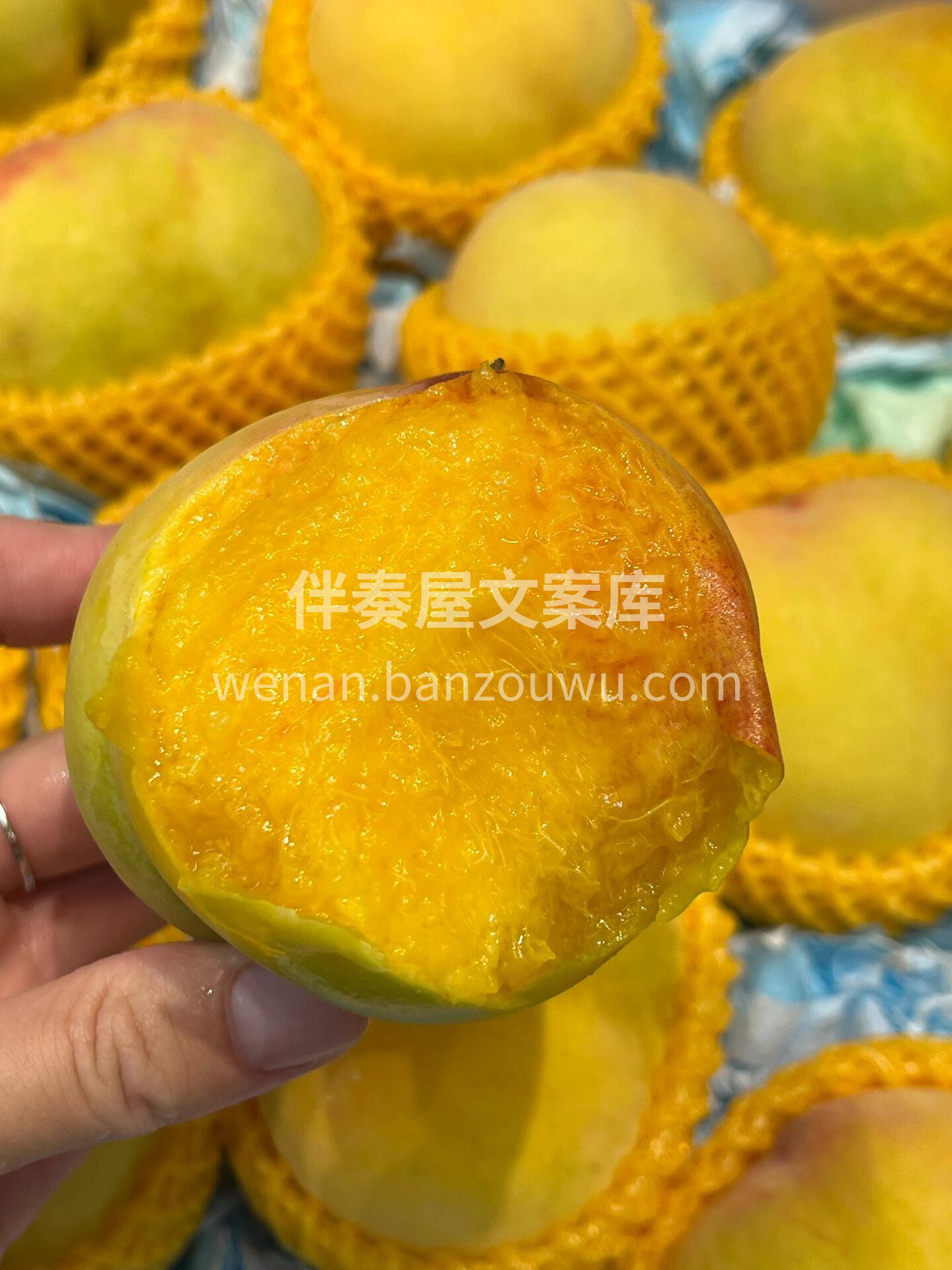 当季热卖款🔥黄桃🍑 一道亮丽的“桃色”风 配图1