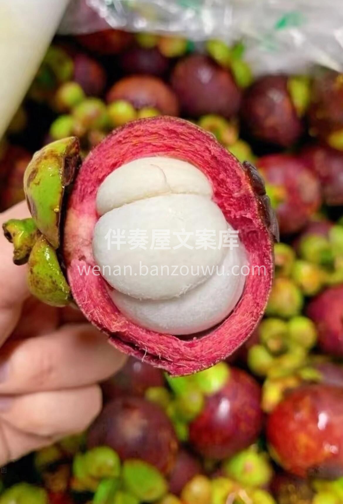 【超级推荐】降火神器来啦🔥，进口泰国山竹 配图2