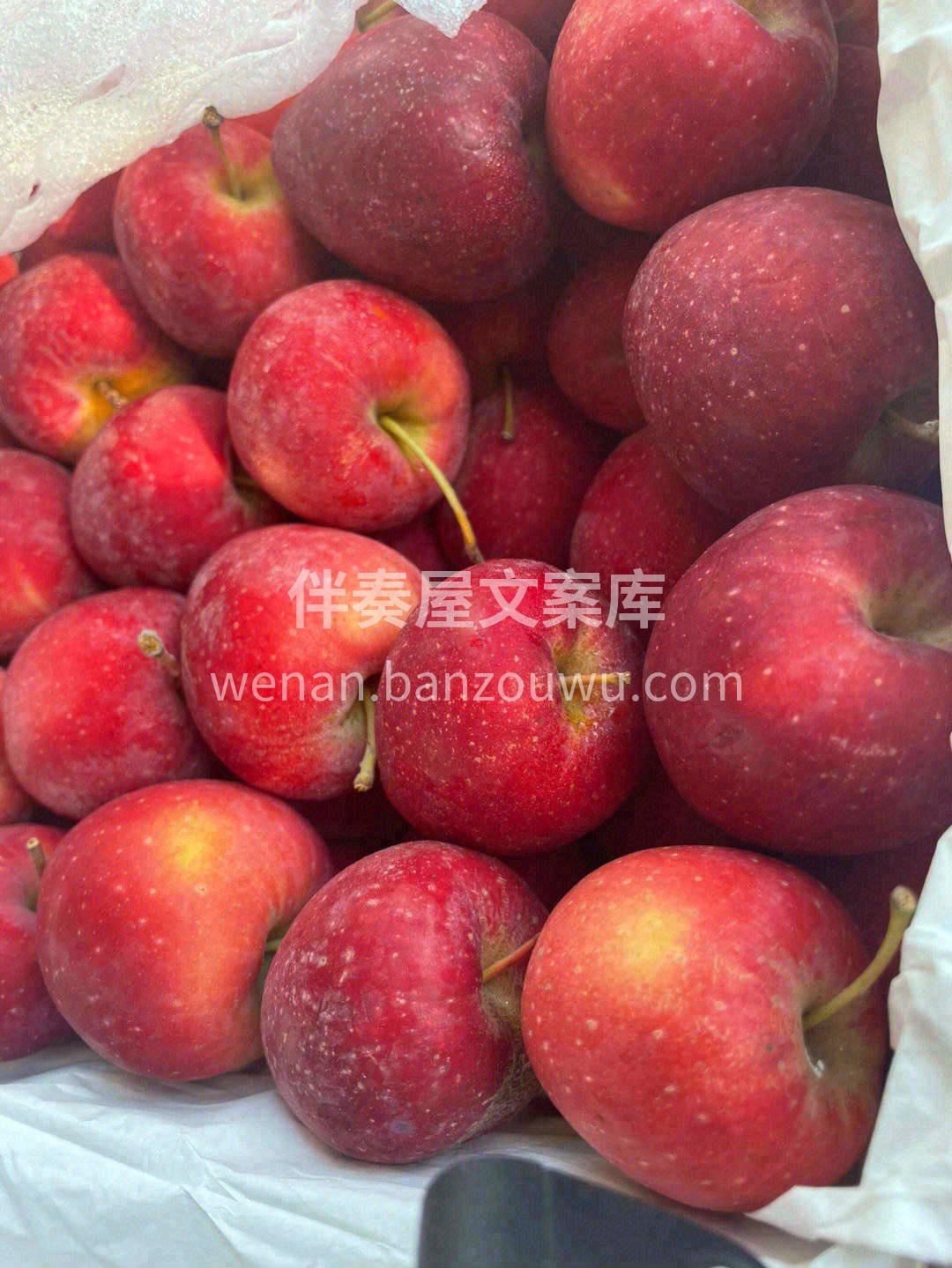鸡心果🍎特别圈粉小朋友😍 家里的小孩子， 配图2