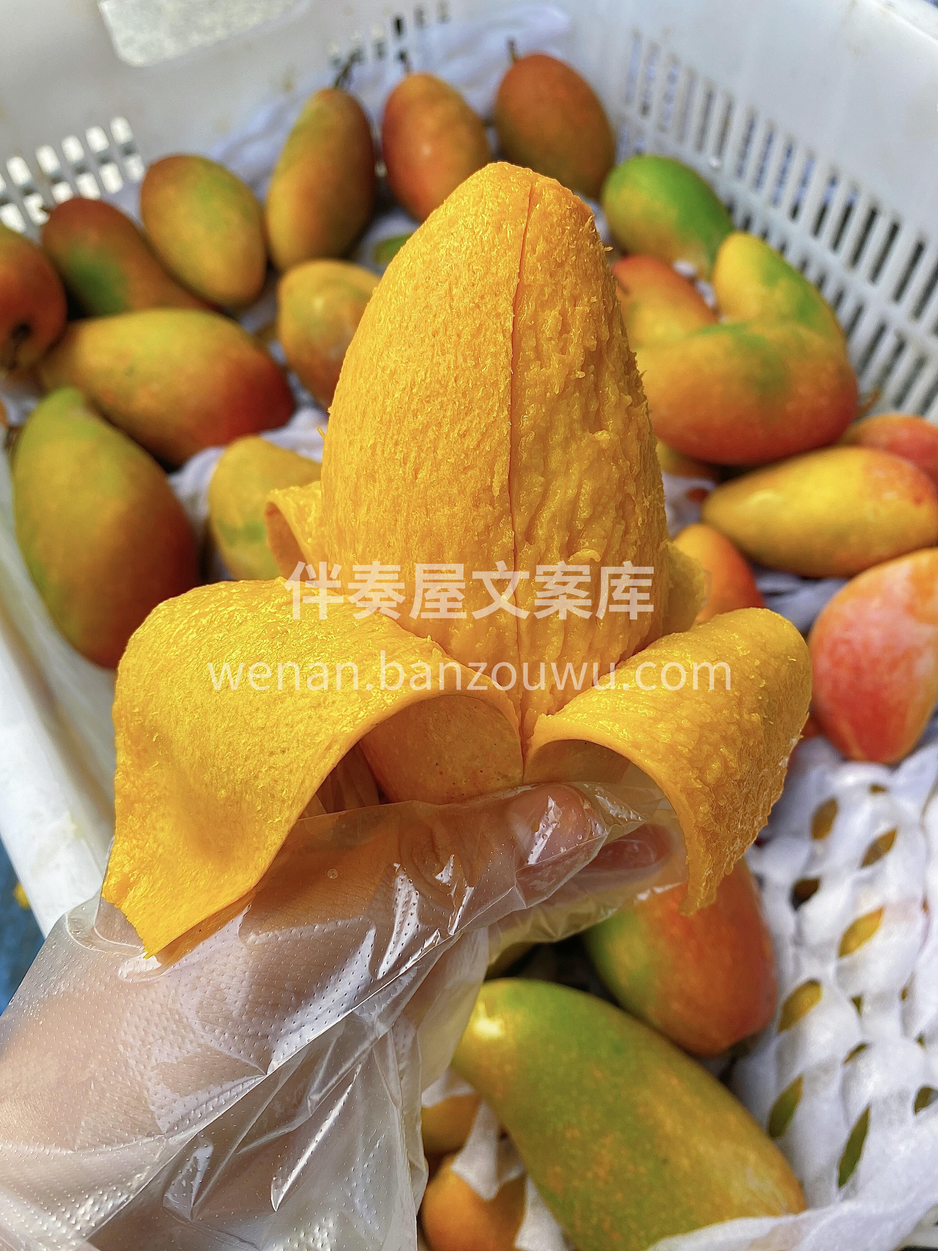 空运的贵妃芒来了🥭 贵妃芒品质、颜色已经 配图1