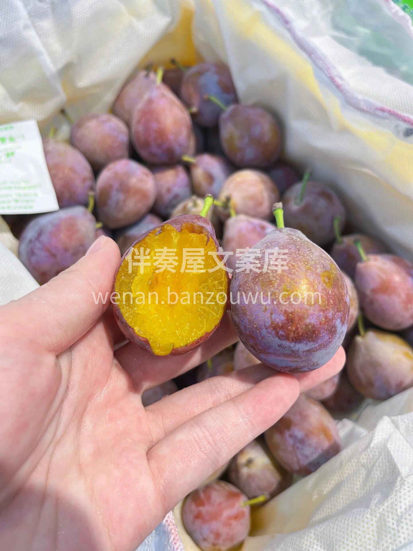 新疆法兰西西梅😎，一颗对怎么长大才好吃有 配图1