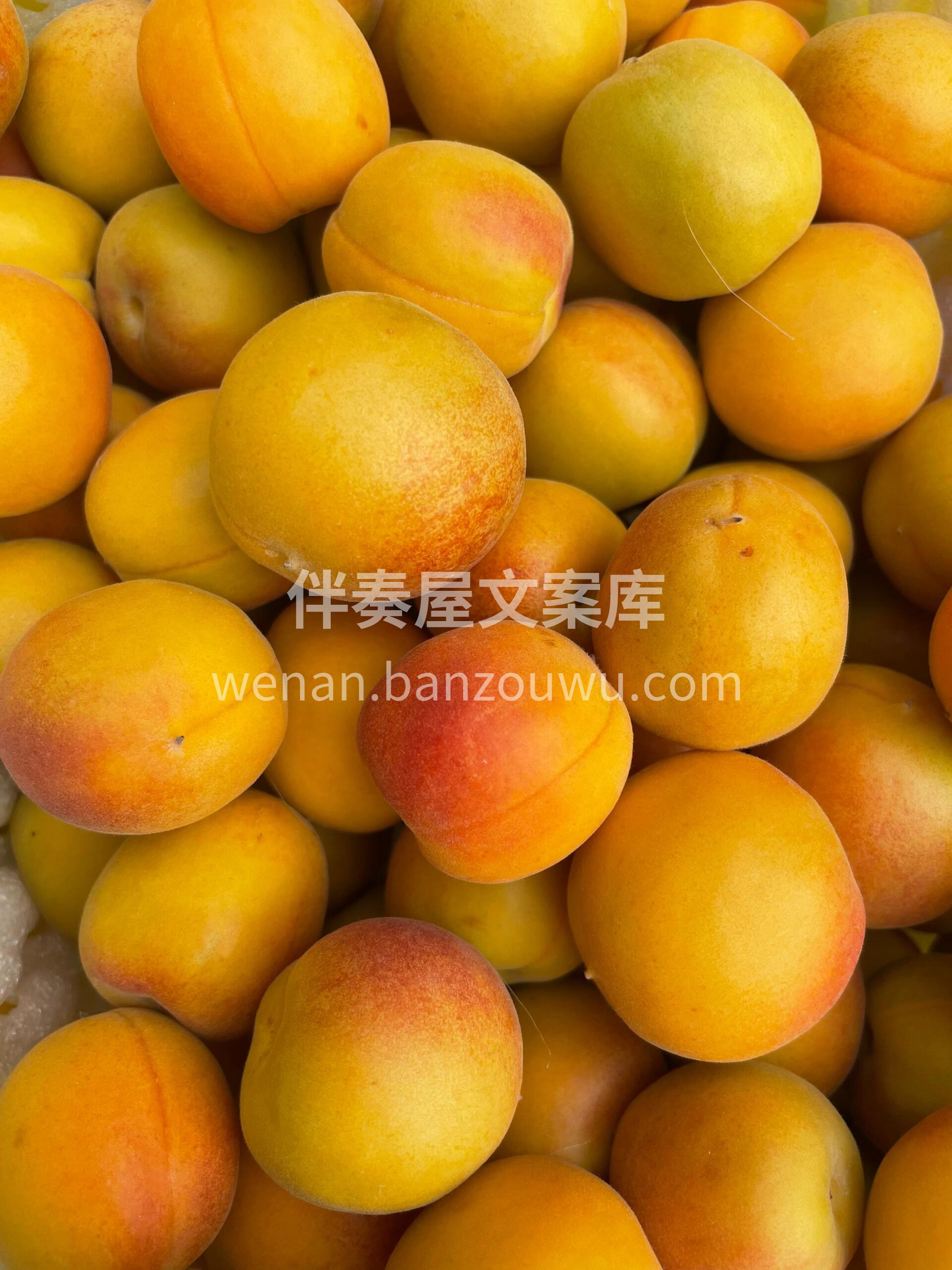 👉当季最受宠的杏—新疆吊干杏！ 颜色很漂 配图1