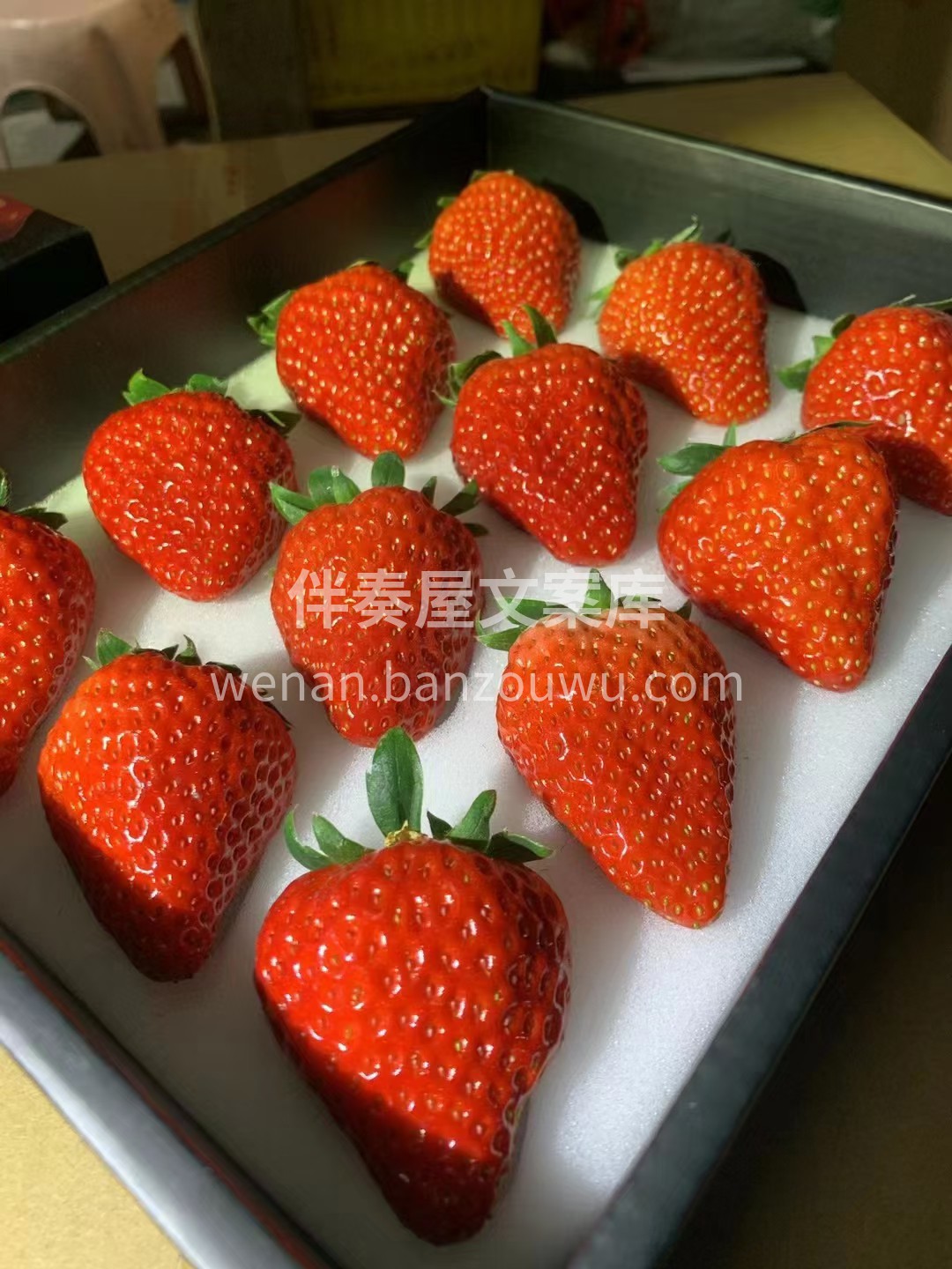 丹东草莓🍓 自然生长的甜润 果肉紧实绵密 配图3