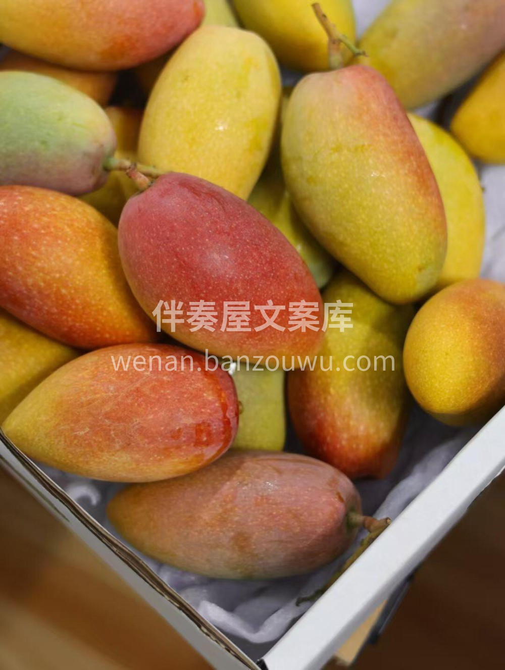 芒果中的“爱马仕”🌈超级好吃的 树熟贵妃 配图3