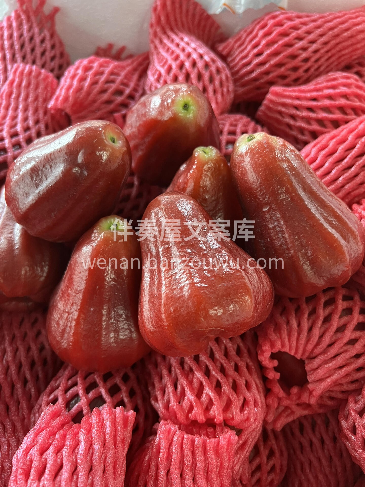 💧 莲雾！ 💦 台湾黑金刚，水分炸弹 💣 配图2