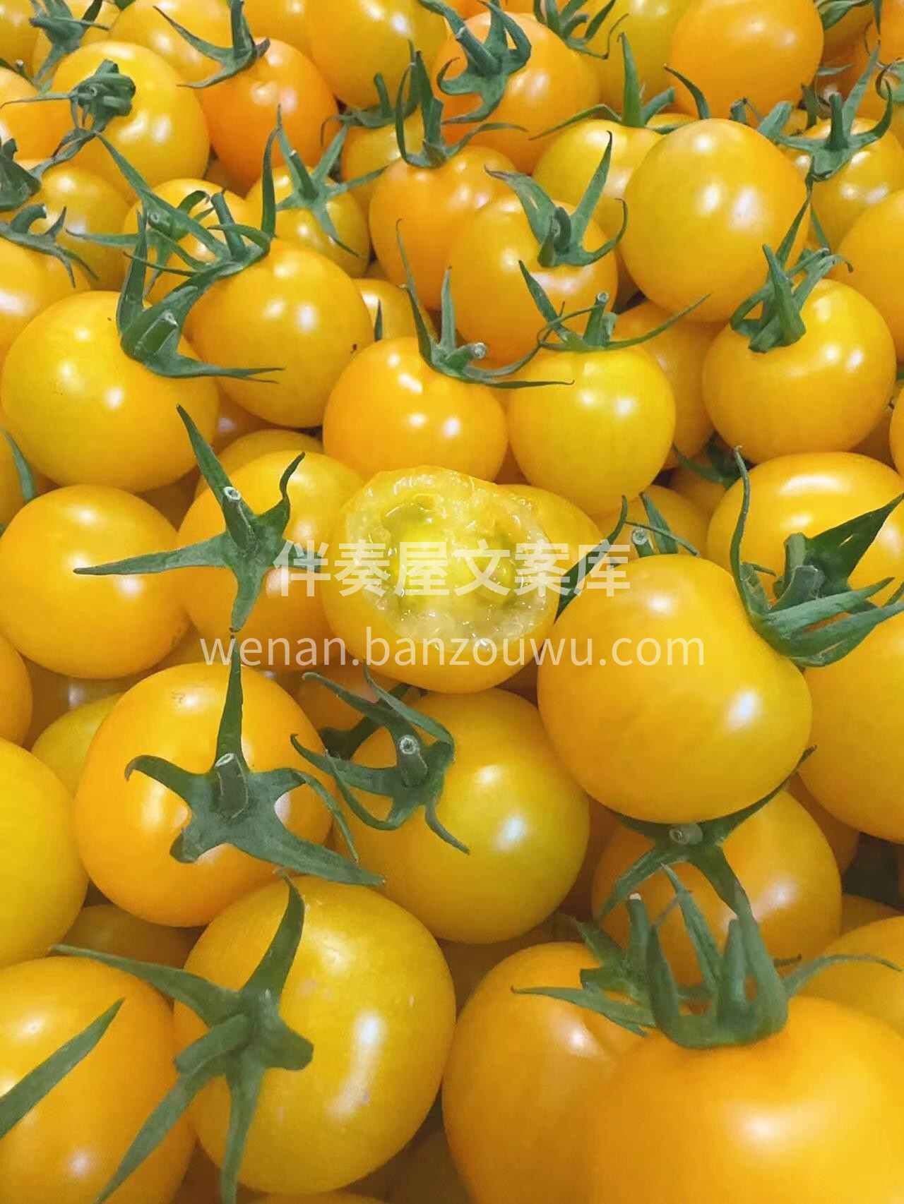 阳光爆浆小番茄💛，新鲜健康💌 每一颗都是 配图2