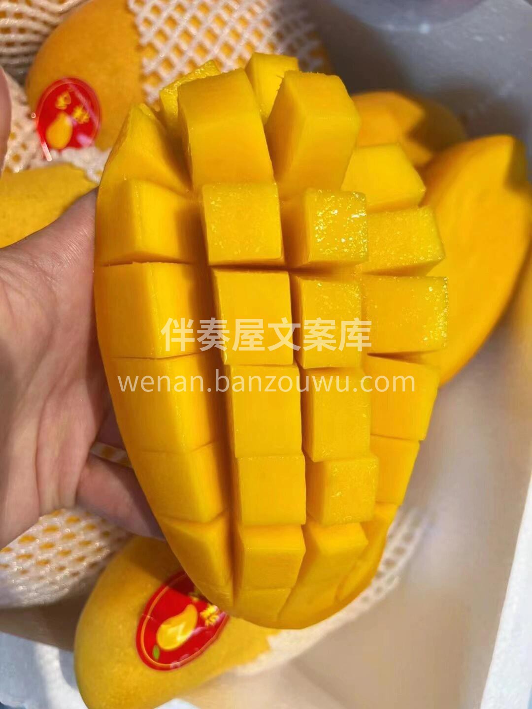 水仙芒🥭 继续到新🔥 全是胖嘟嘟的大果😍 配图2