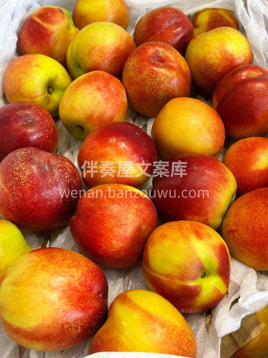 🌞晨光还没爬上窗台，新鲜就“哐当”到店啦 配图1