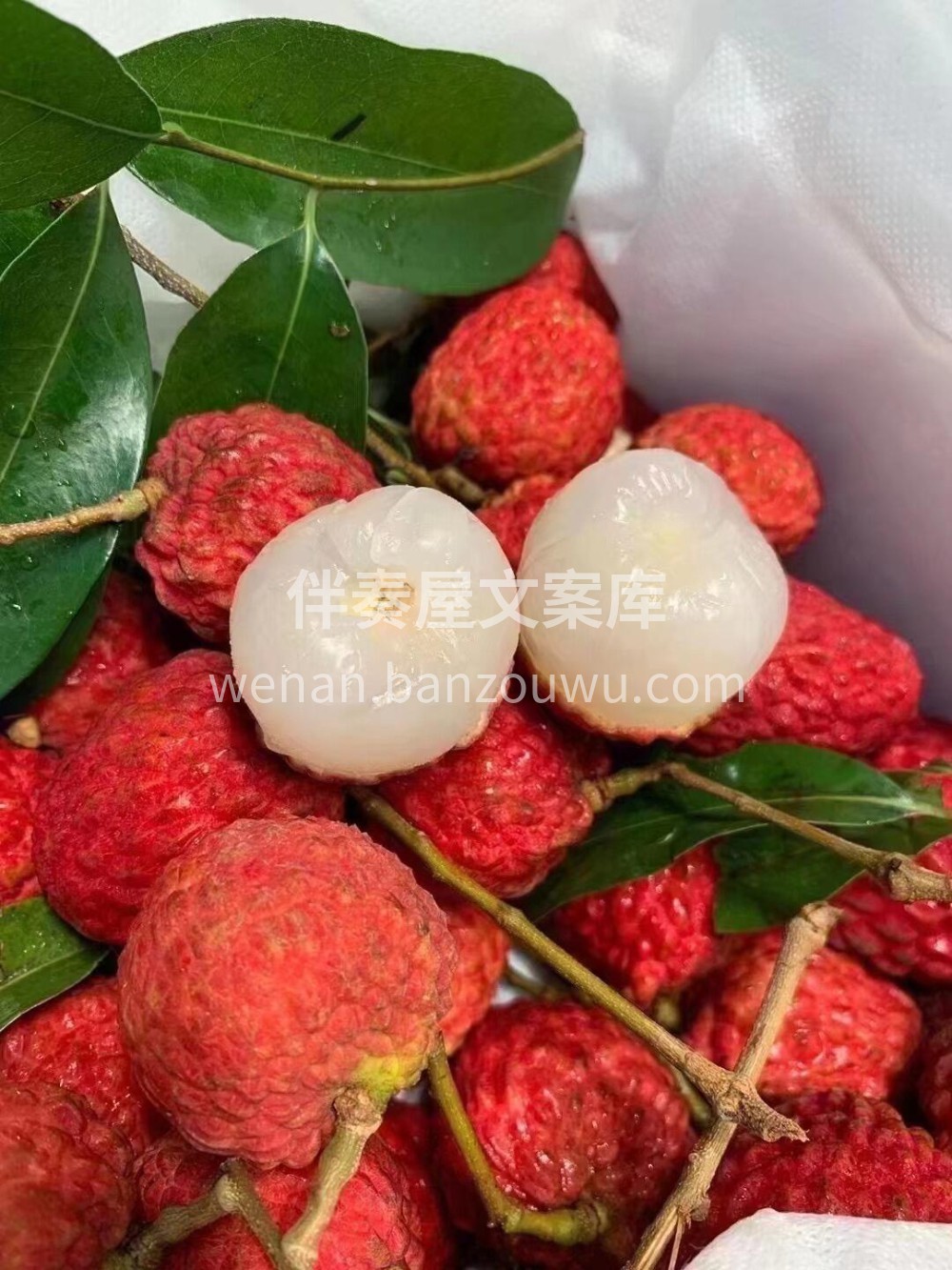 ❤️仙进奉红坠枝头🥰~ 古风古色的艳红色 配图2