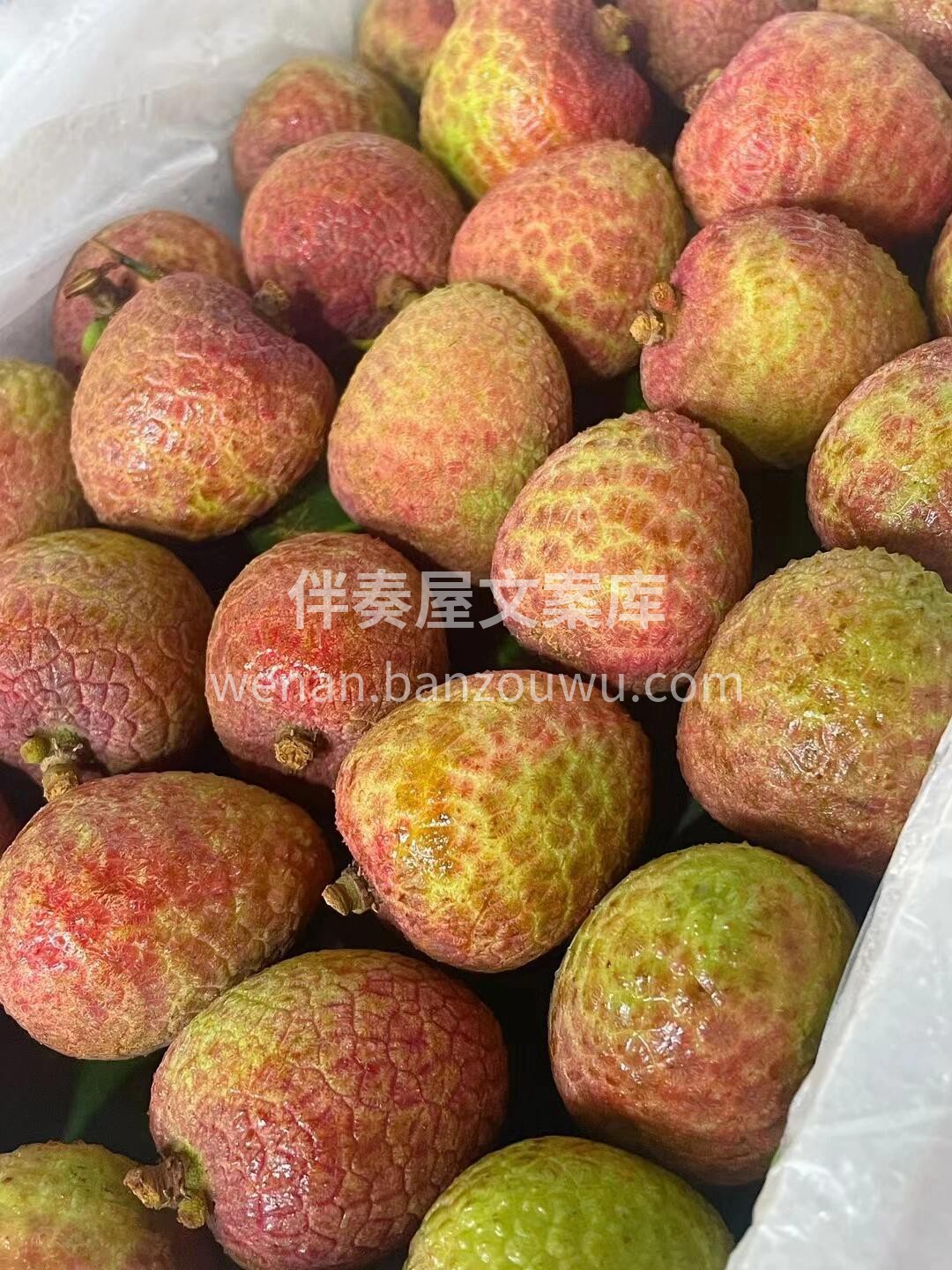 ✨桂味荔枝上线啦！ 壳薄核小，果肉晶莹如 配图3