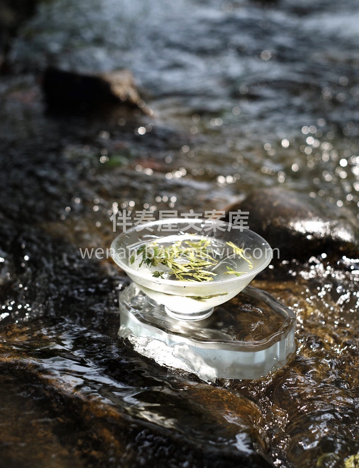 岁序更新，以茶为媒。一盏明前西湖龙井，汲 配图2