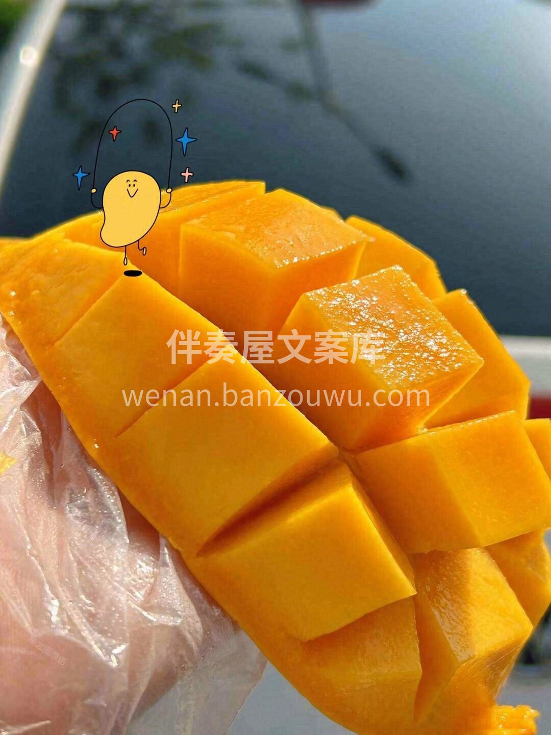 水仙芒✨ 一口应季芒果… 晒足了阳光☀️ 配图1
