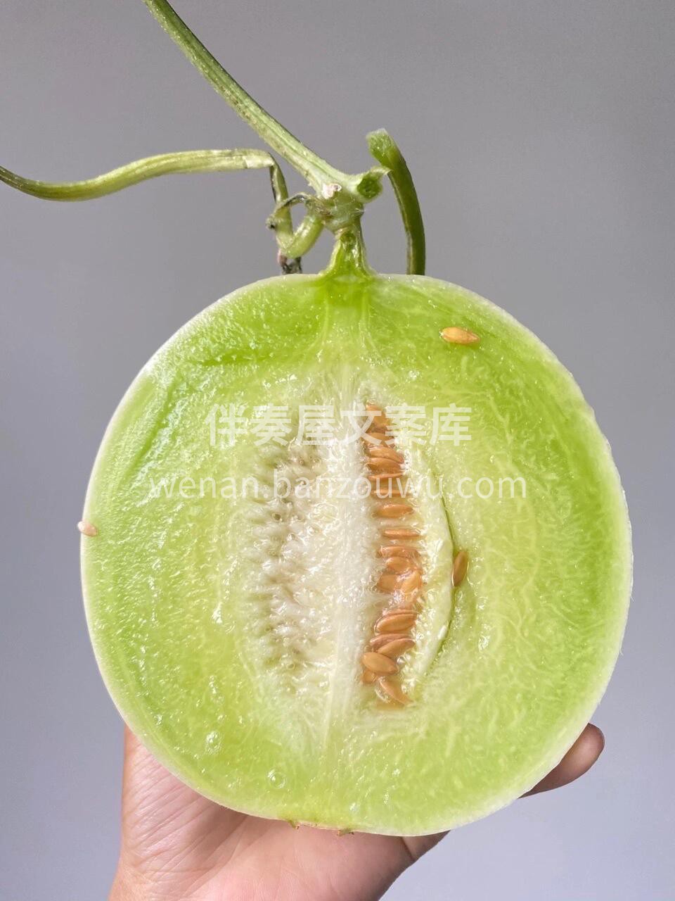 甜蜜≠高糖分🌻 奶香蜜瓜🍈甜而不腻，老少 配图2
