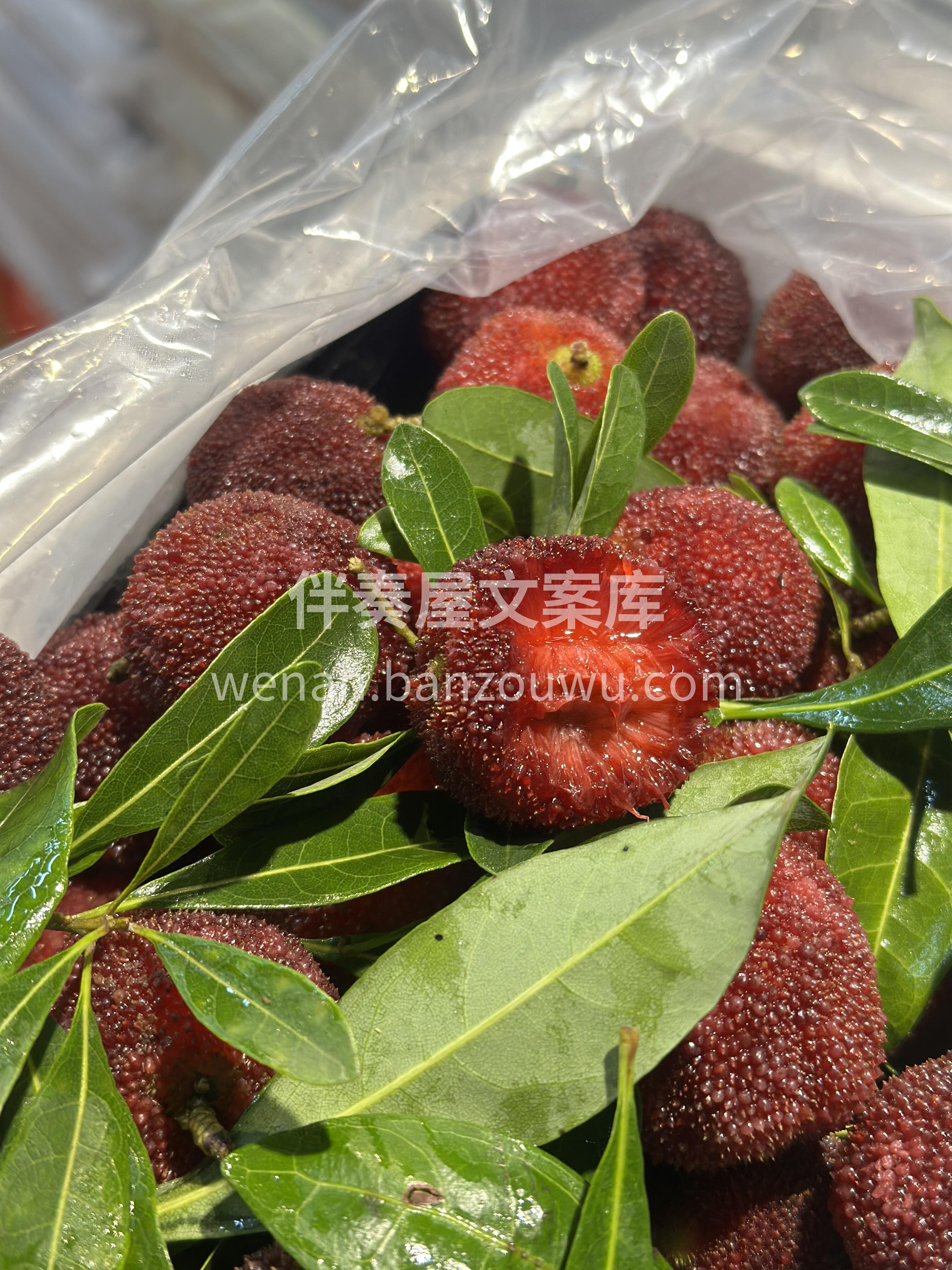 【东魁杨梅】新鲜到店🔥 ❤️ 东魁杨梅可 配图2