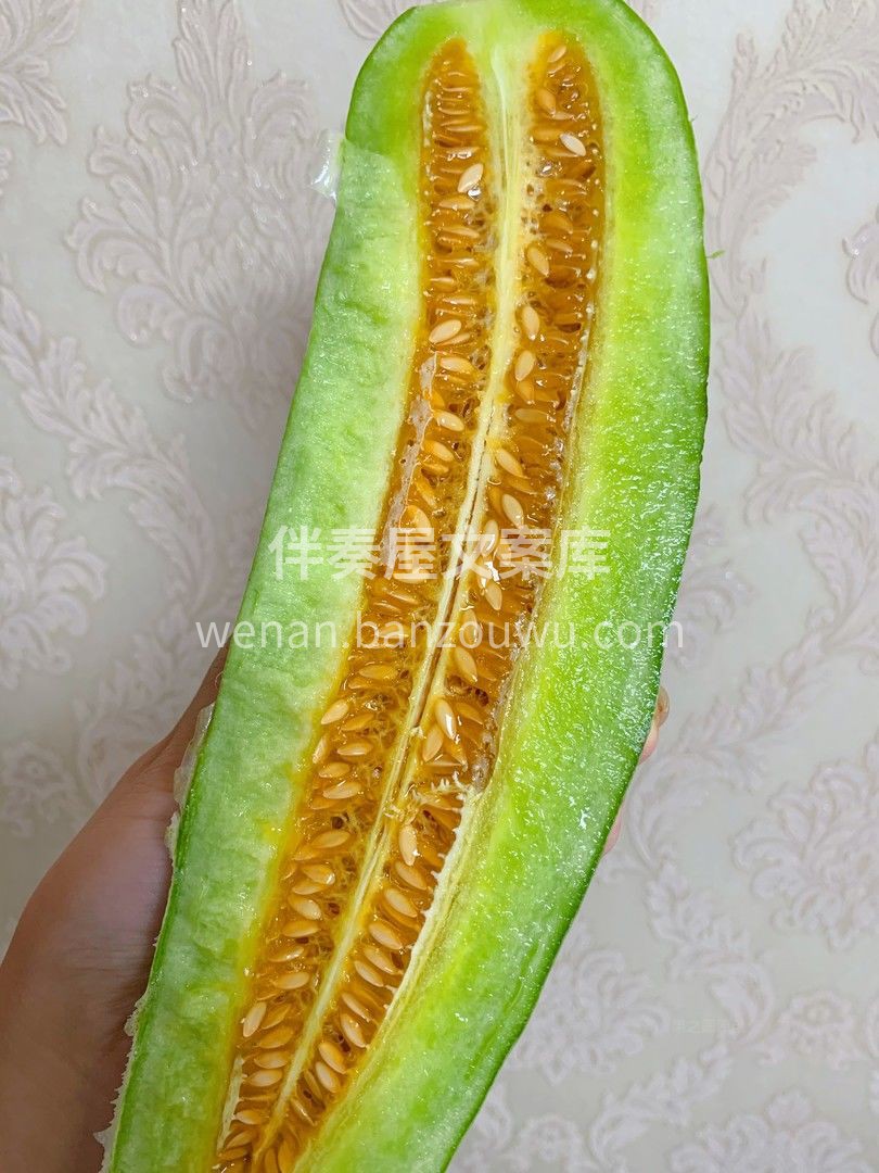 未见其瓜，先闻其香👉👉👉 羊角蜜散发着自 配图1