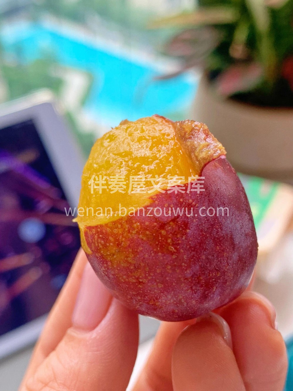 新疆很远，西梅很甜！ 🍭又甜又爆汁！🍹西 配图1