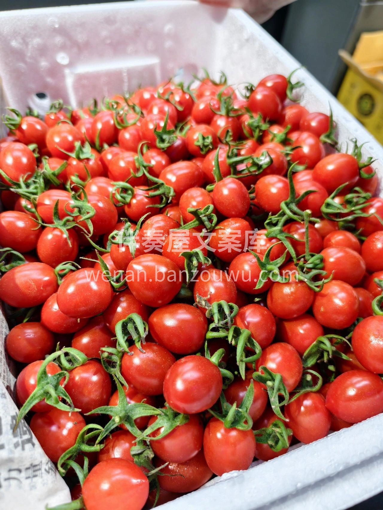 小甜甜千禧🍅 口感甜，番茄香味超浓郁🫰  配图2