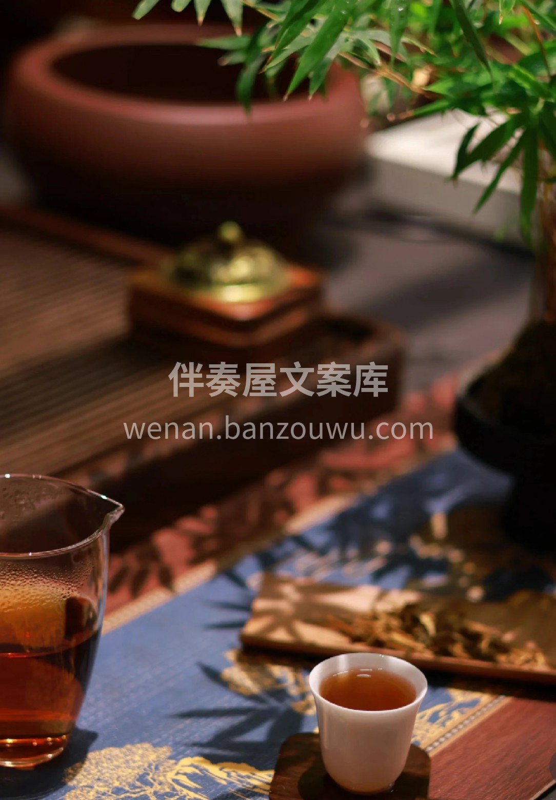 一盏祁红，揉碎了春日黄山的云雾。条索紧细 配图2