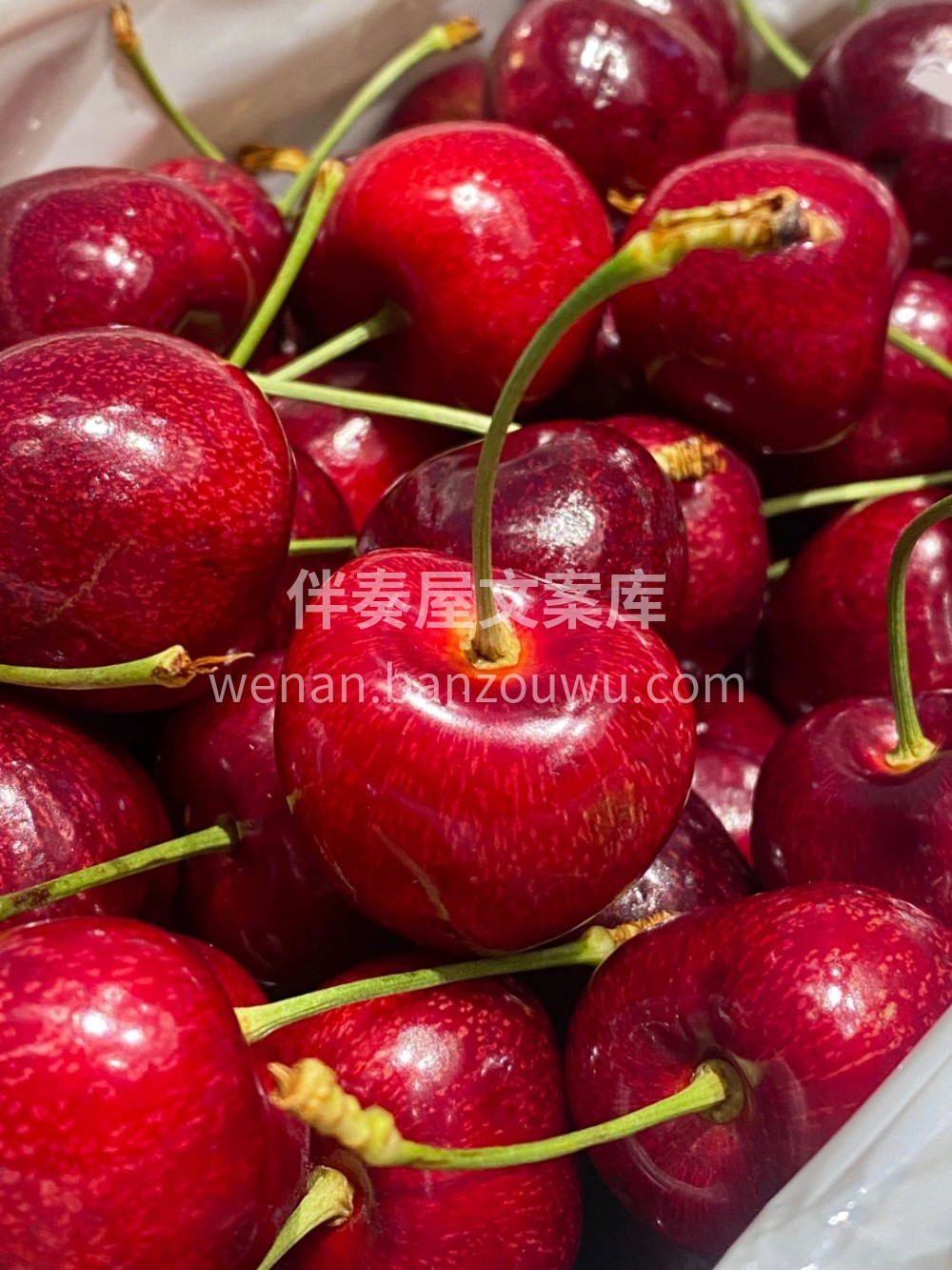 奥塔哥红车🍒来自纯净国度新西兰🇳🇿 🌳入 配图1