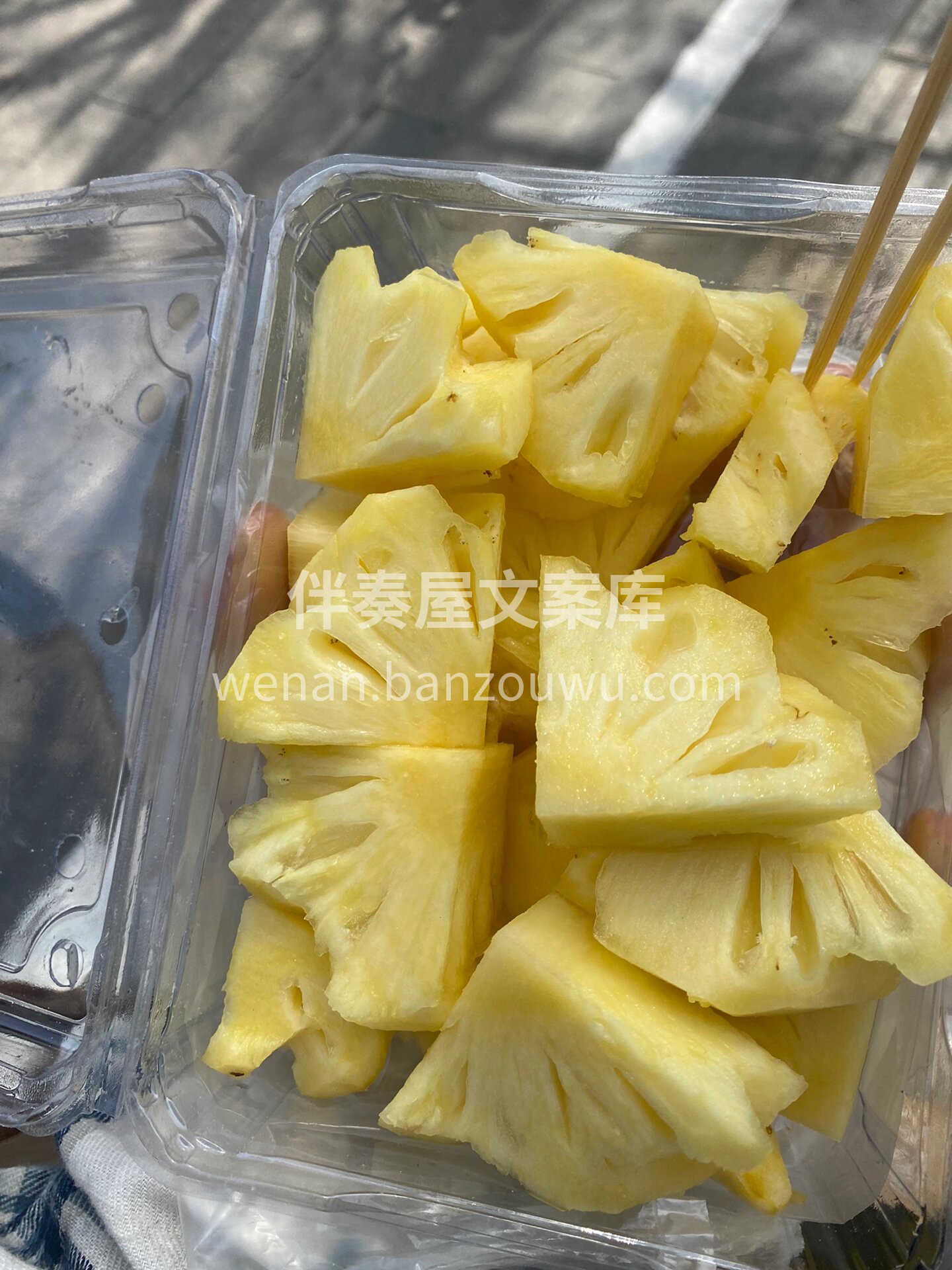 菠萝的季节🍍 仅仅活着是不够的，还需要有