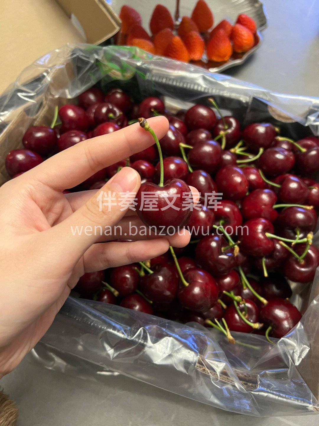 🌿新鲜空运✈的车厘子，光亮诱人🍒，果柄碧 配图2