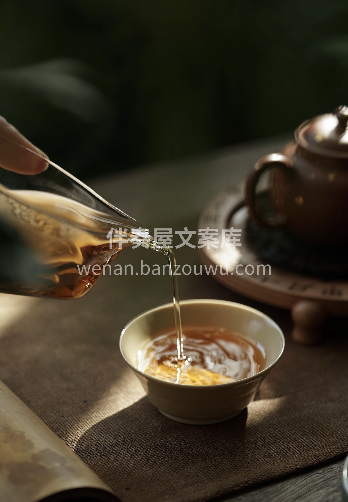 古树红茶，岁月沉淀的醇厚。🍵 ✨沸水冲泡 配图2