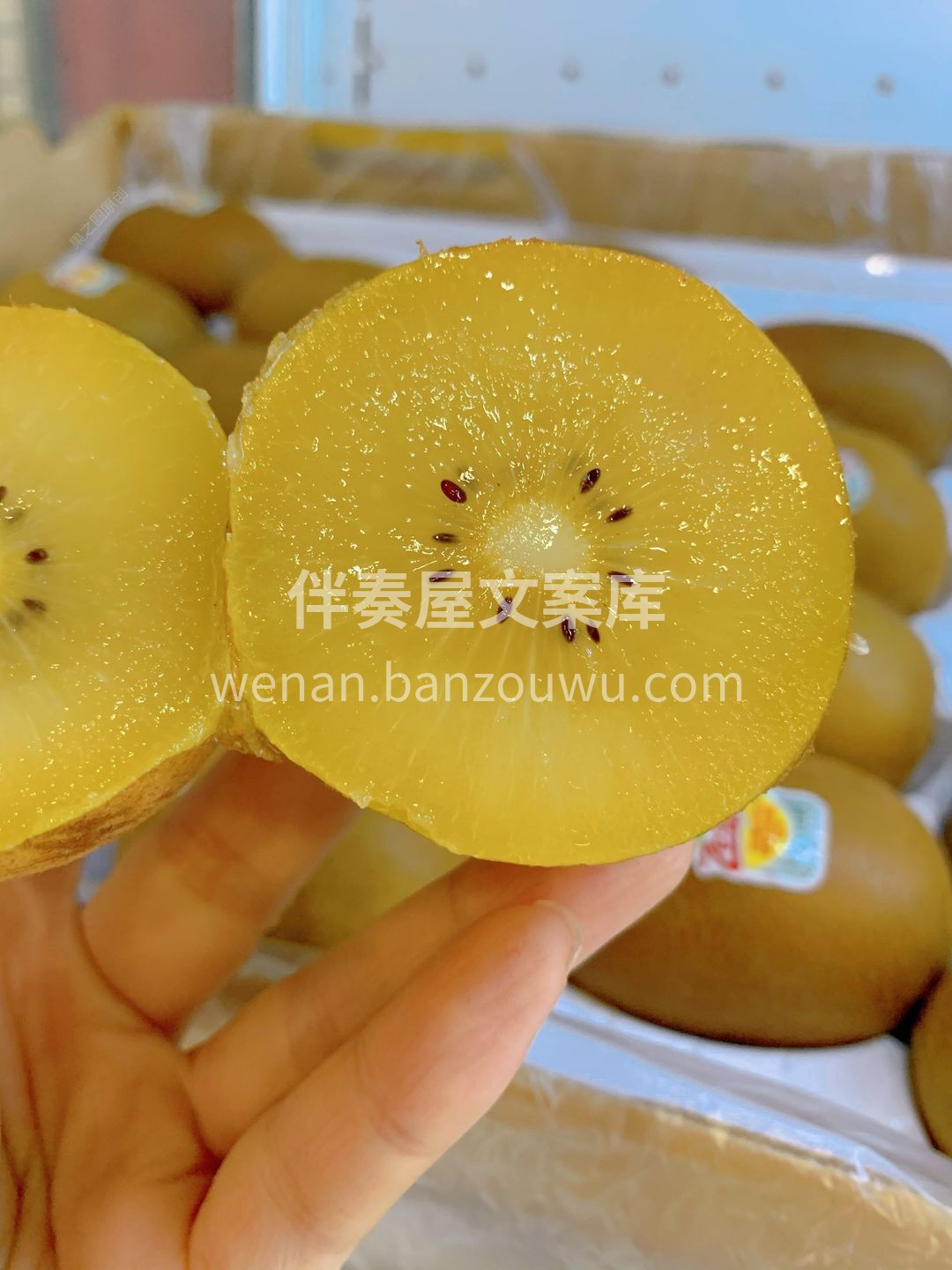 金果的截面，像日头正好的太阳🔆 金黄色的 配图2