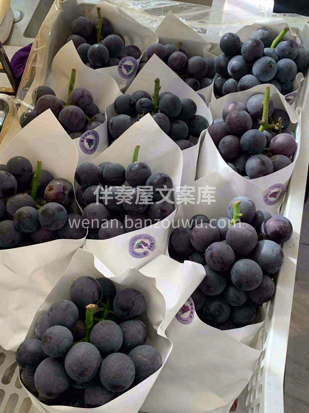 巨峰葡萄——正儿八经小时的葡萄味🍇 一口 配图3