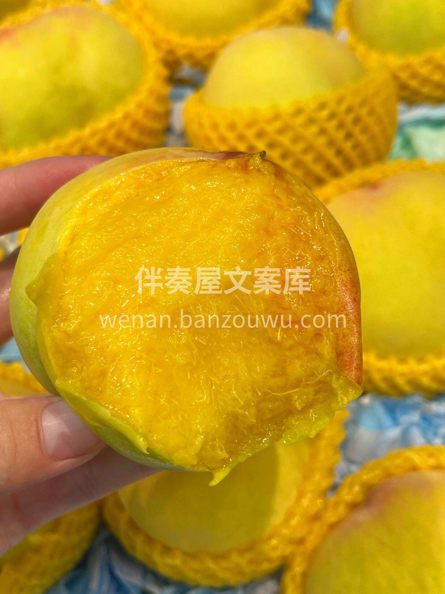 🔥 今日力荐‼️正宗黄桃🍑 夏天是桃子的 配图1