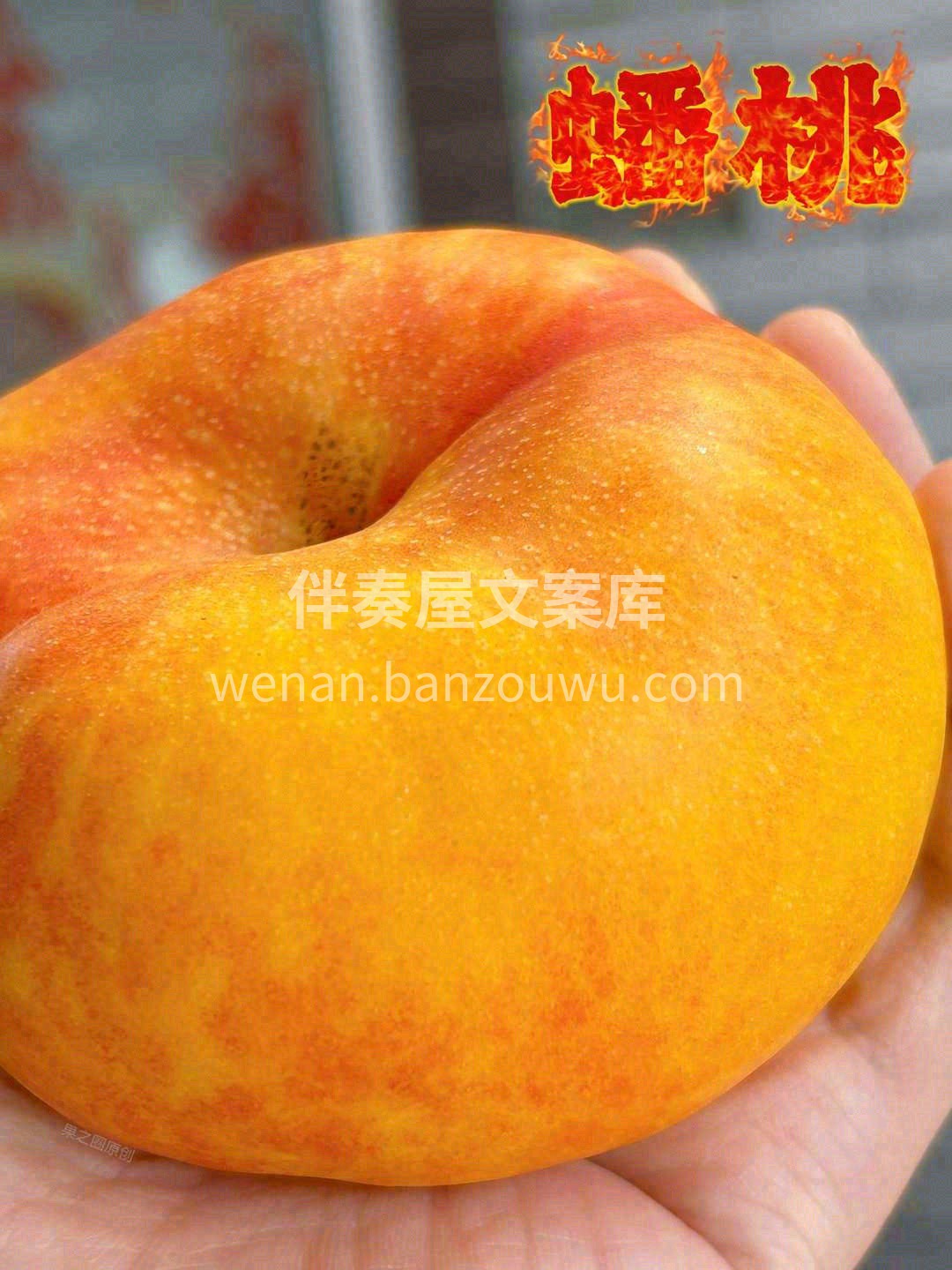 『此桃只应天上有，人间难得几回尝』🥰 黄 配图2