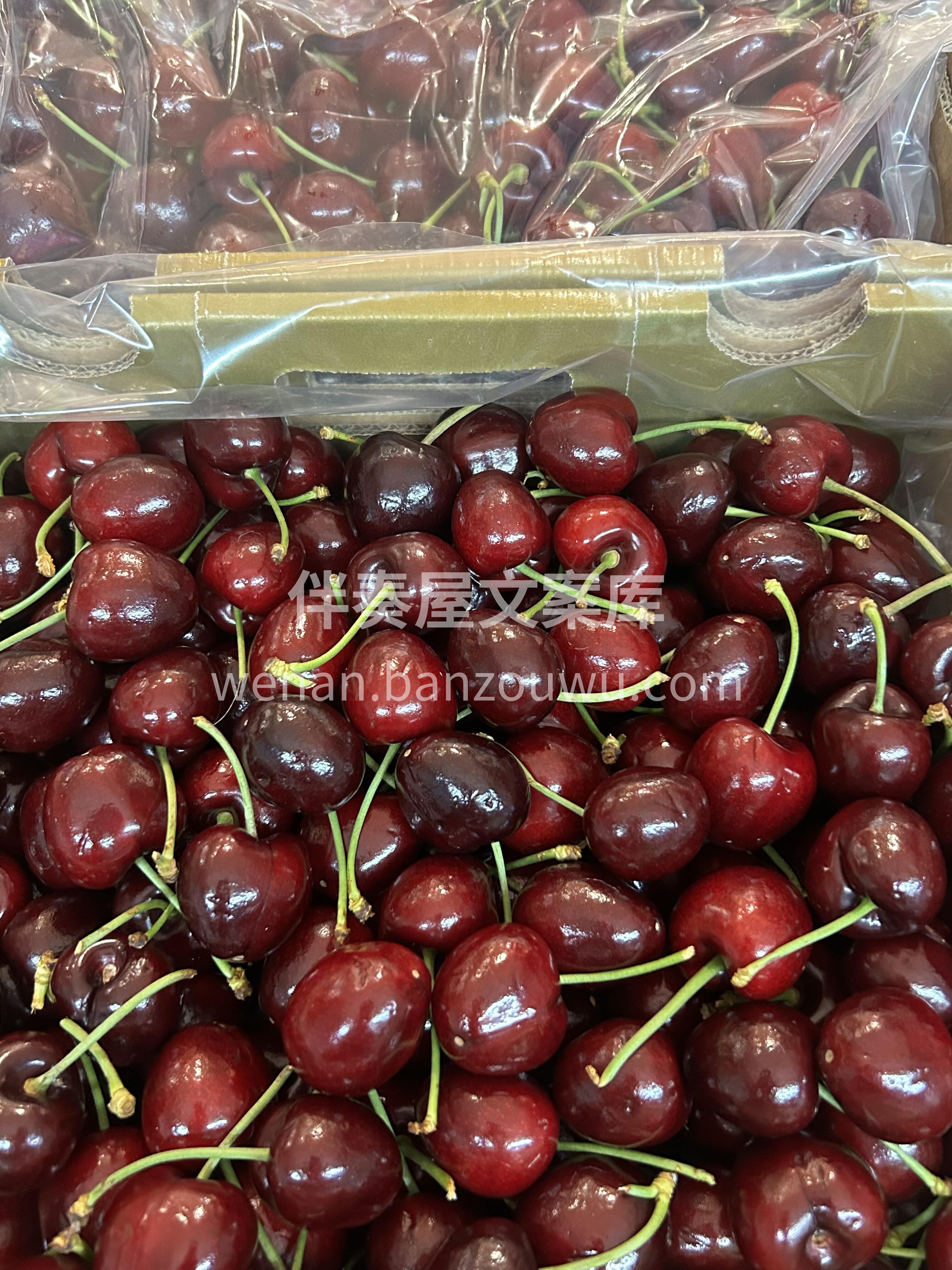 甜滋滋的空运桑提娜🍒 补铁补气血，一定要 配图3