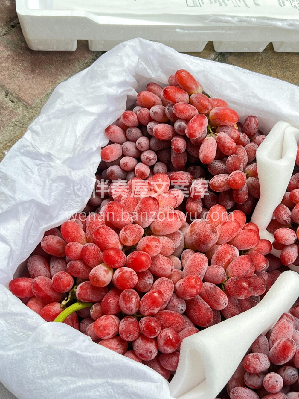 无籽红提🍇超级无敌新鲜🌿脆脆甜甜小宝宝的 配图1