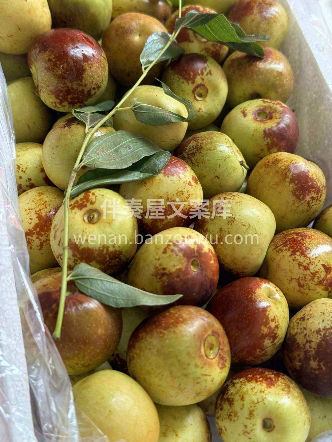 天天吃冬枣🥰，容颜不易老🌷 特级大荔冬枣 配图3