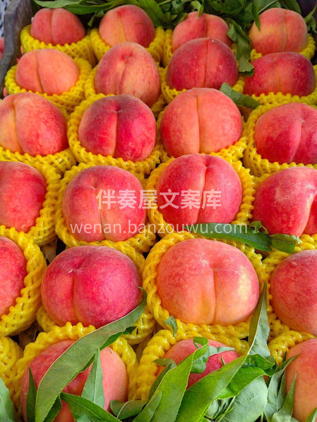 软硬两吃的大红桃🍑 鲜吃脆甜，🌷适当放一 配图2