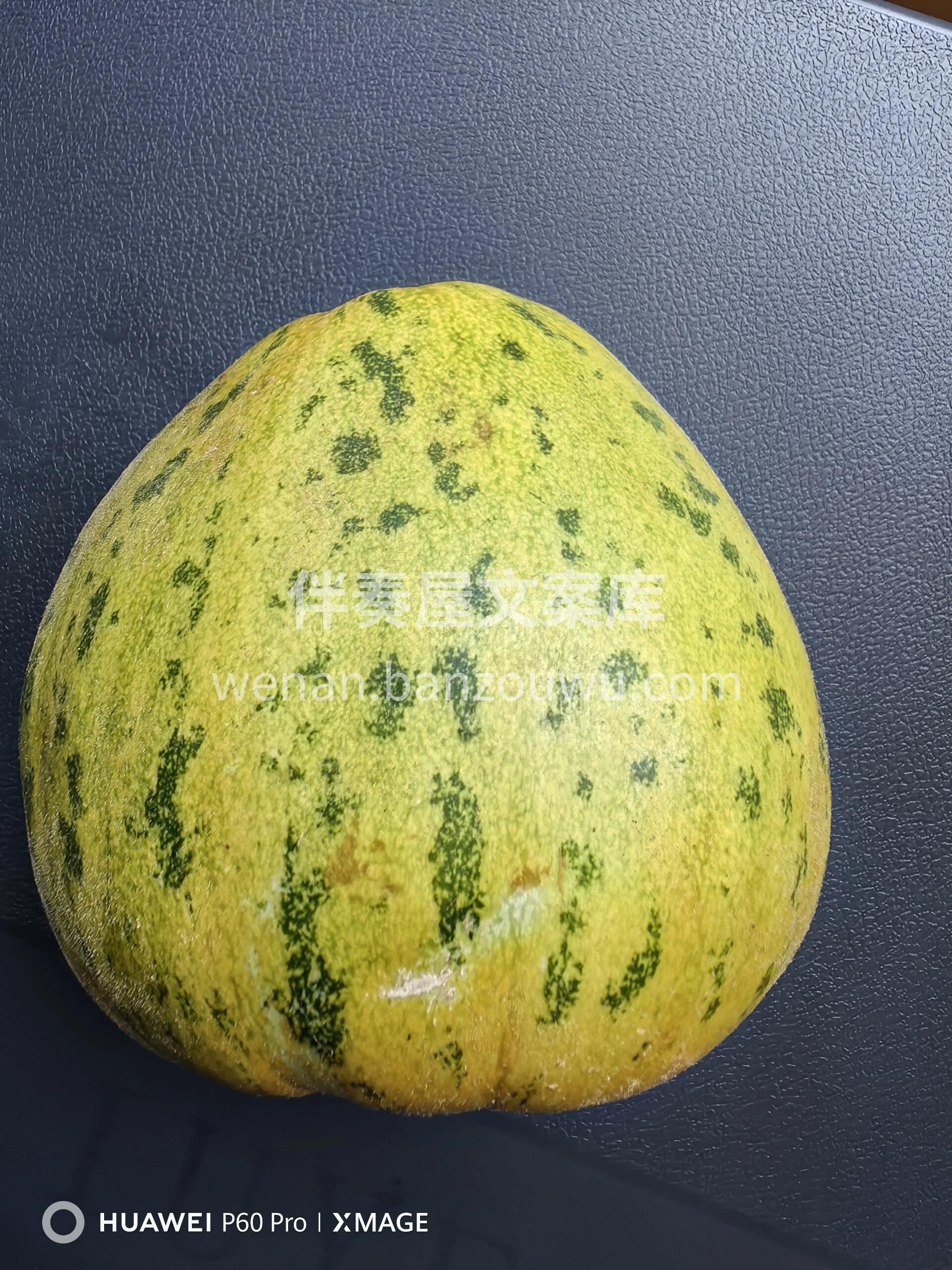 ✅花姑娘香瓜， 还没切就闻到一股香瓜味， 配图1
