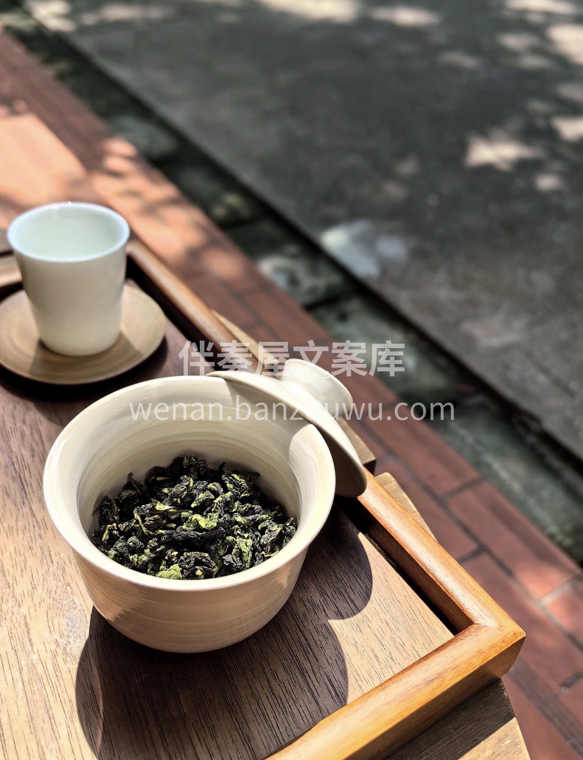 冬日暖饮❄️｜安溪核心产区铁观音🍵 云雾 配图1