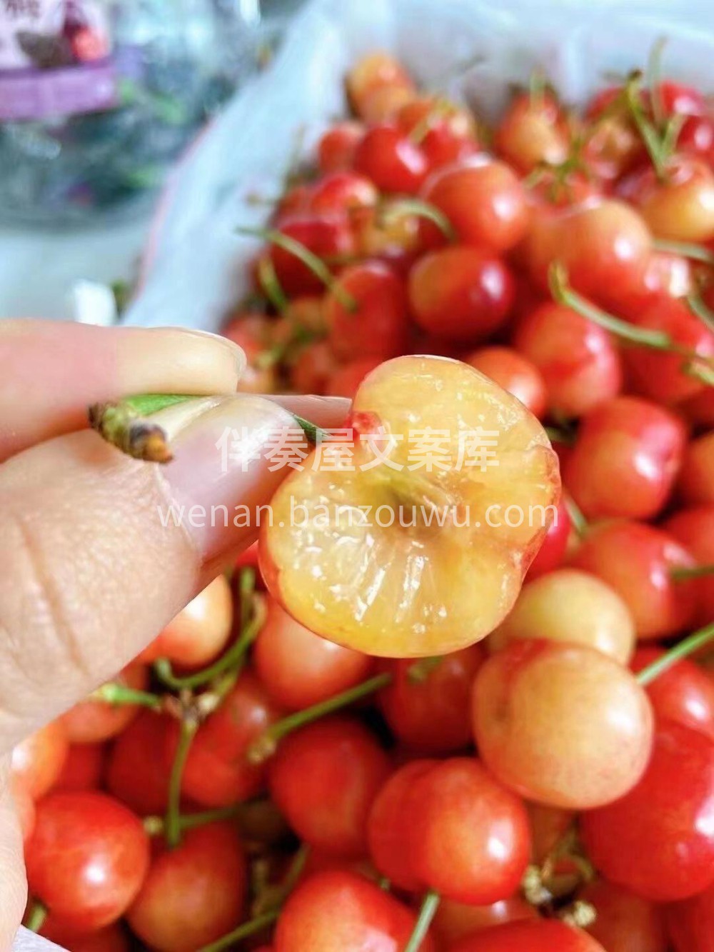 💚有机布鲁克斯樱桃🍒｜ 继续到❤️“品三 配图2
