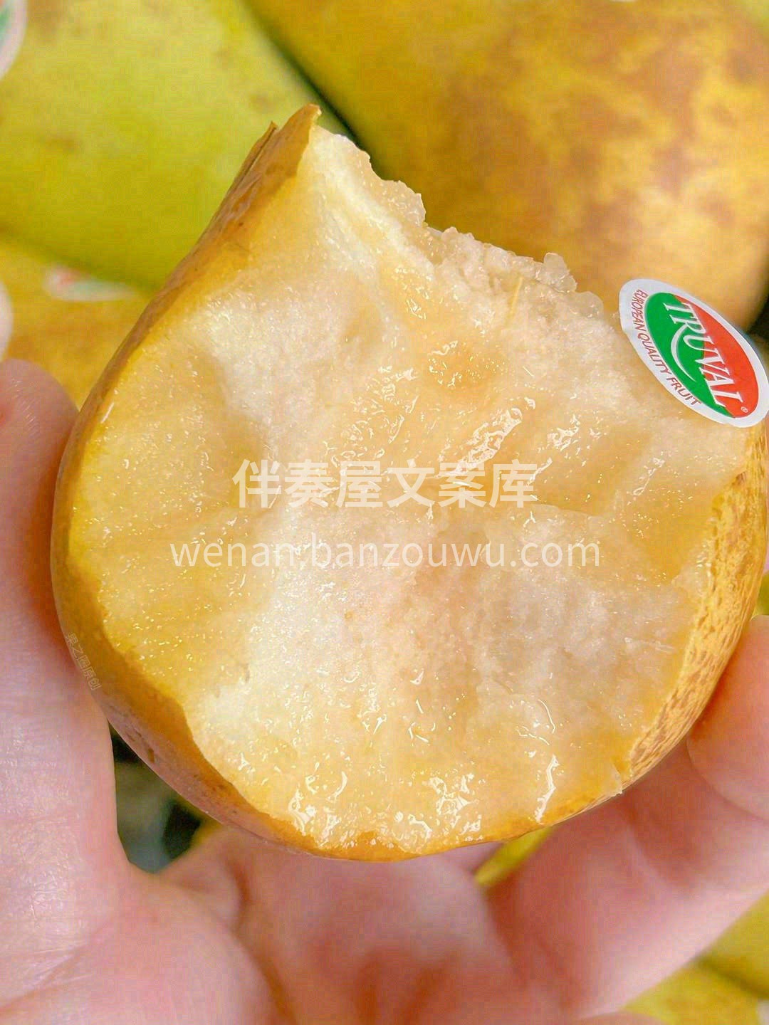 吃软不吃硬的“软萌妹”👸啤梨 皮酥肉软， 配图3